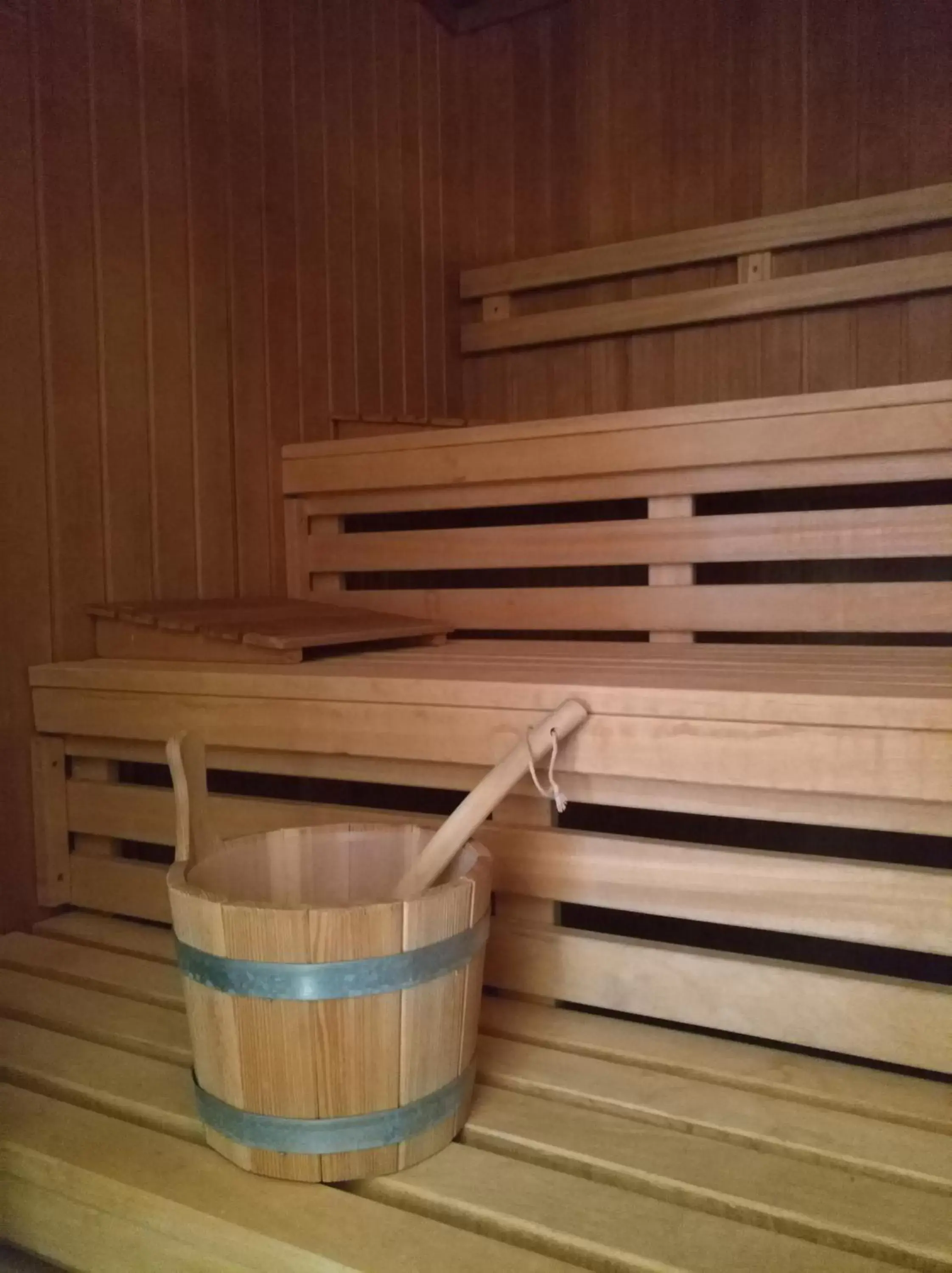 Sauna in arte Hotel Linz