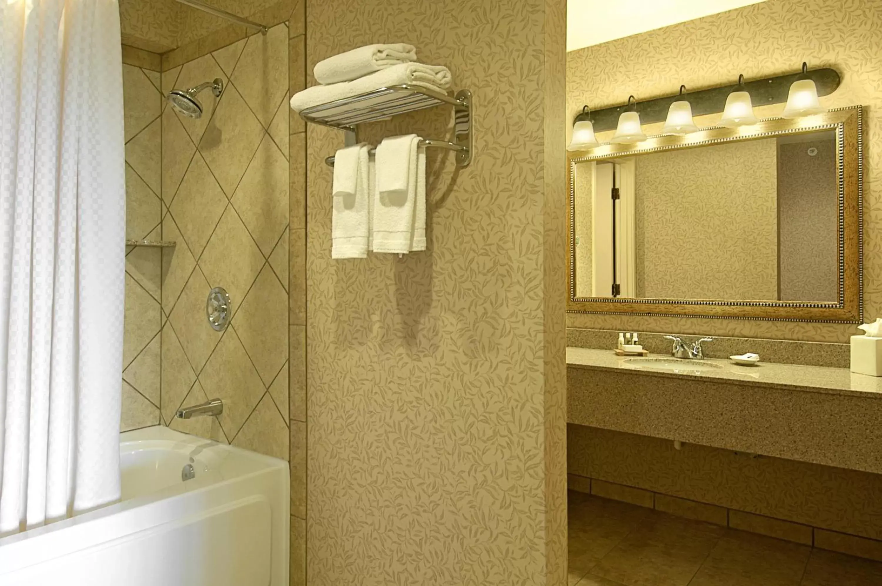 Shower, Bathroom in Olympia Hotel at Capitol Lake