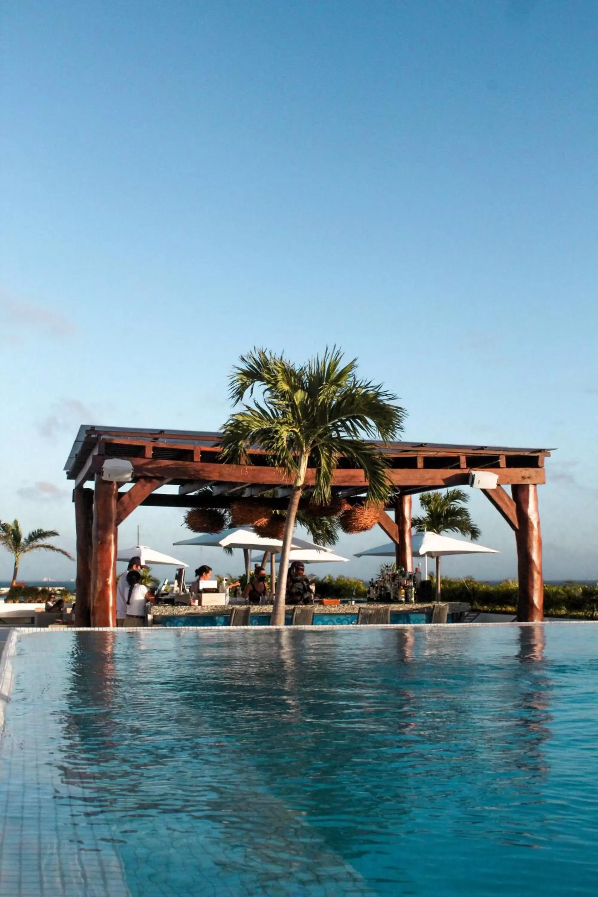 Lounge or bar, Swimming Pool in The Palm at Playa