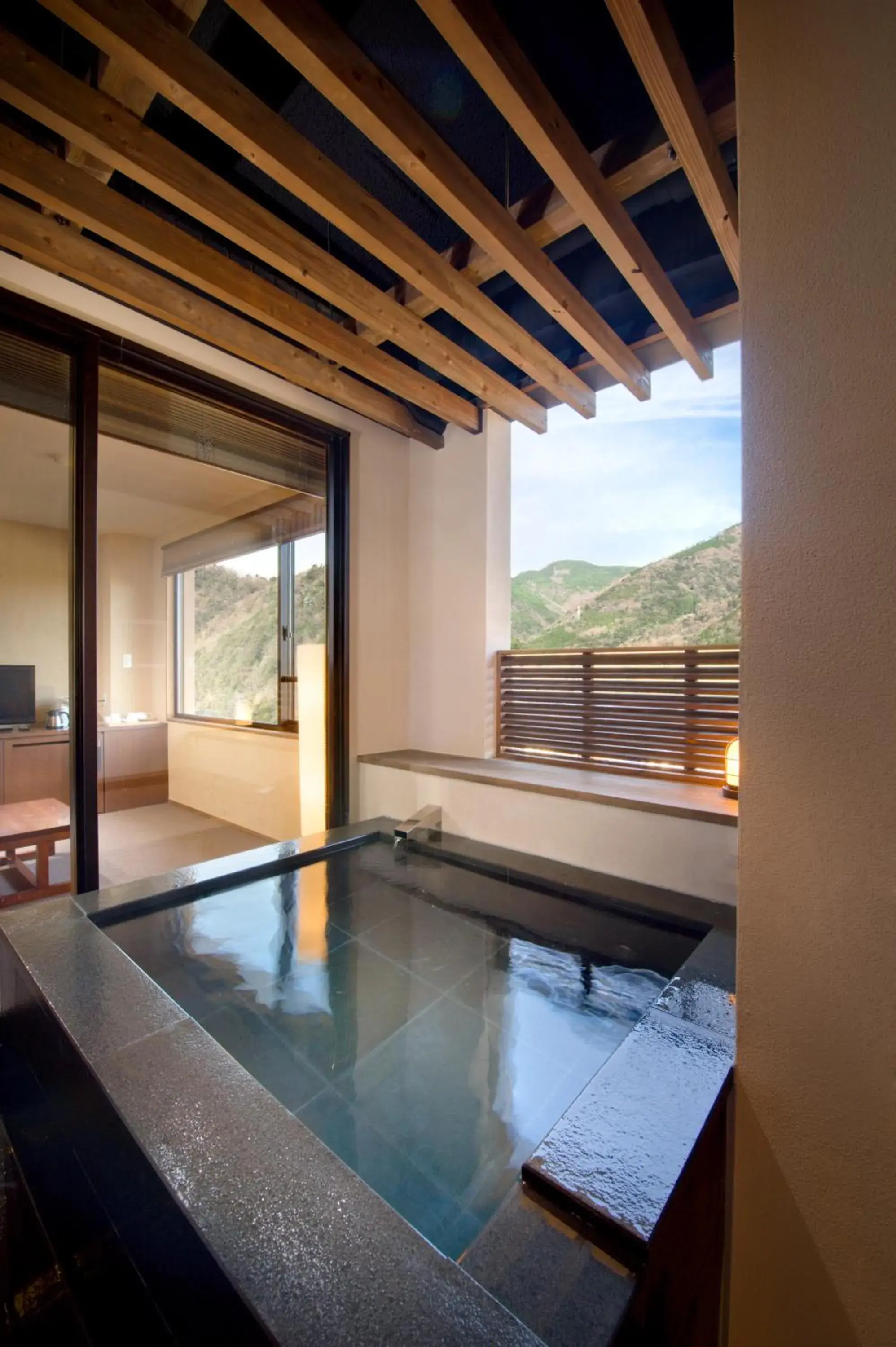 Hot Spring Bath, Swimming Pool in Ryokan Aura Tachibana