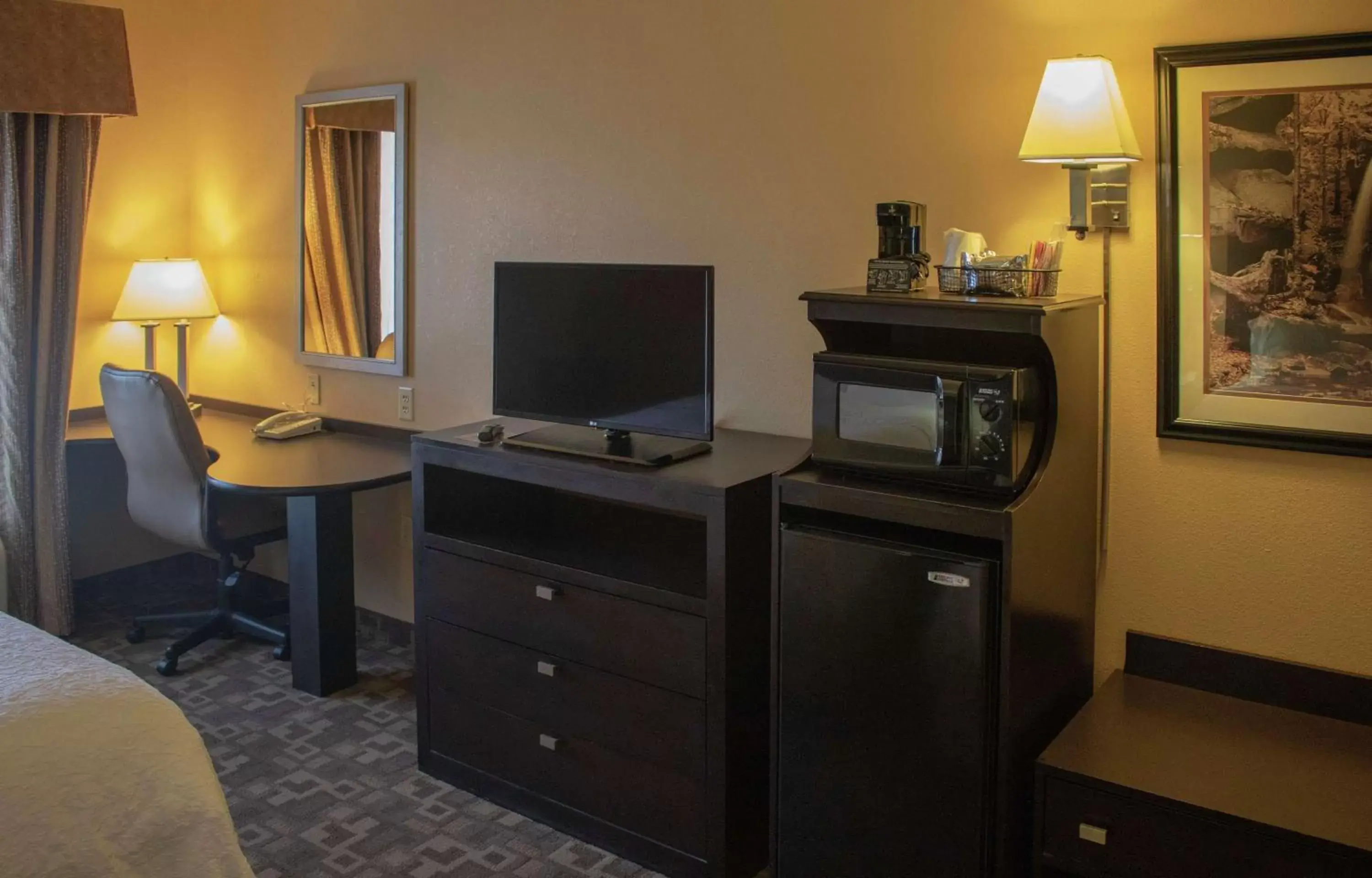 Bedroom, TV/Entertainment Center in Hampton Inn & Suites-Knoxville/North I-75