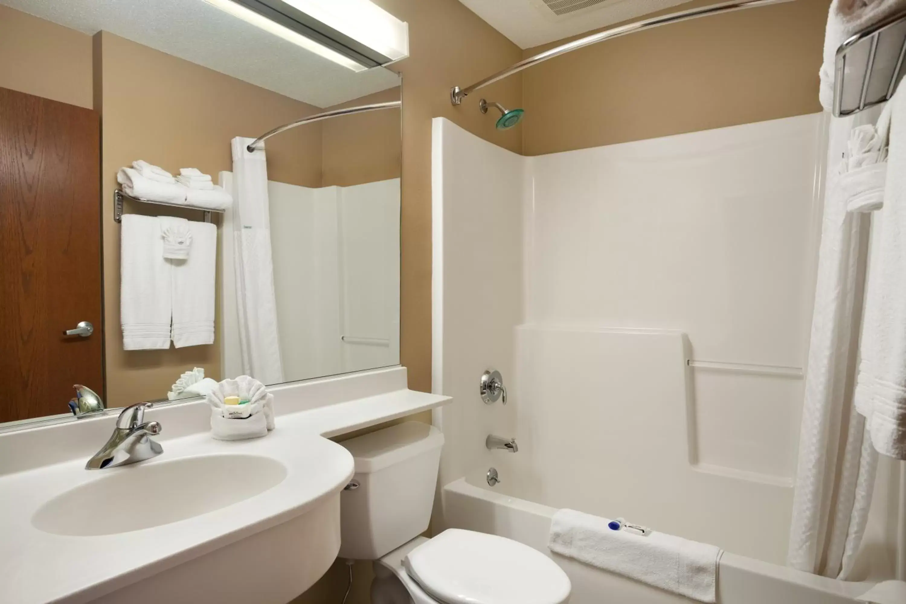 Bathroom in Microtel Inn & Suites Dover by Wyndham