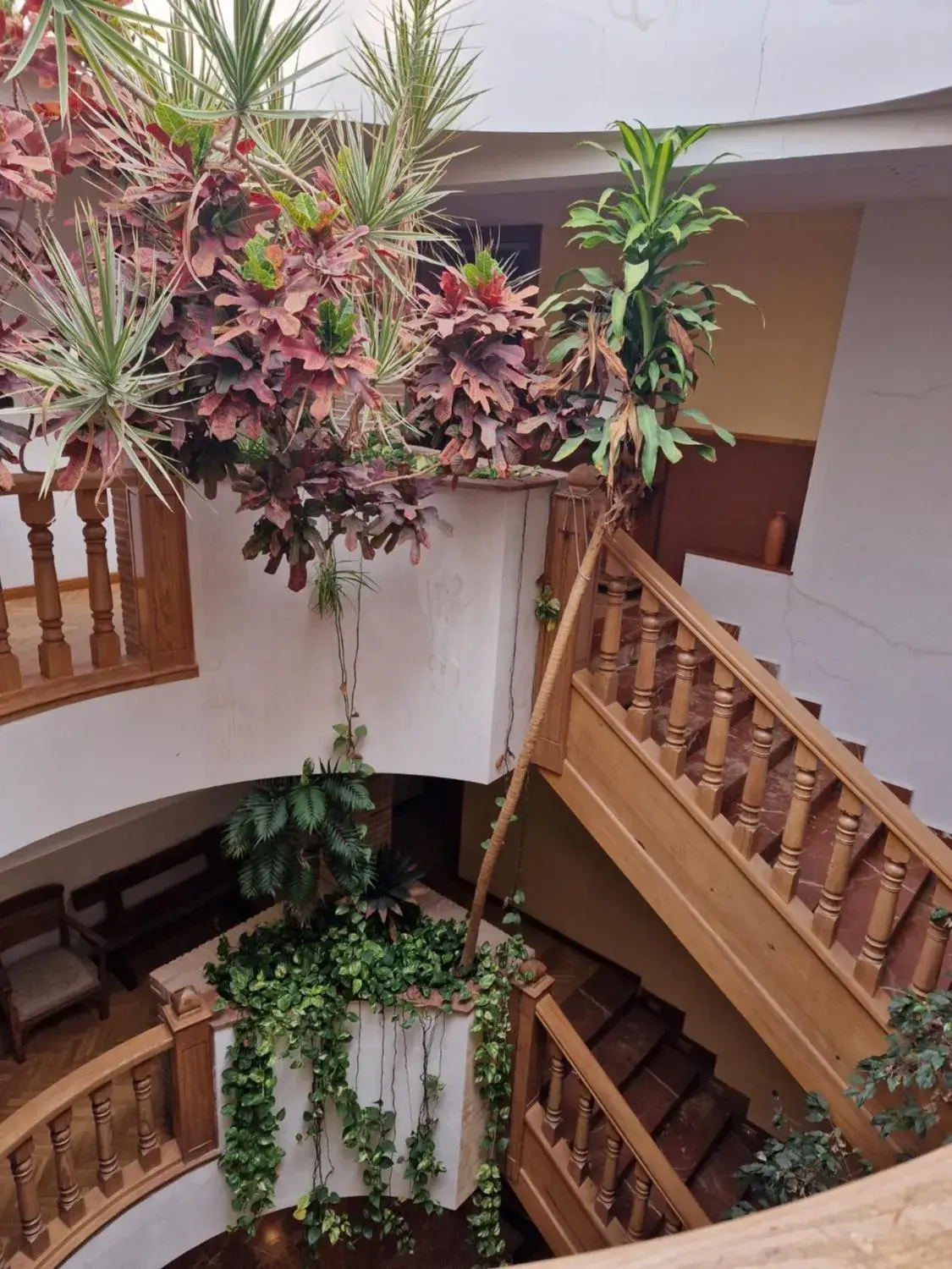 Balcony/Terrace in Hotel Rural Las Gacelas