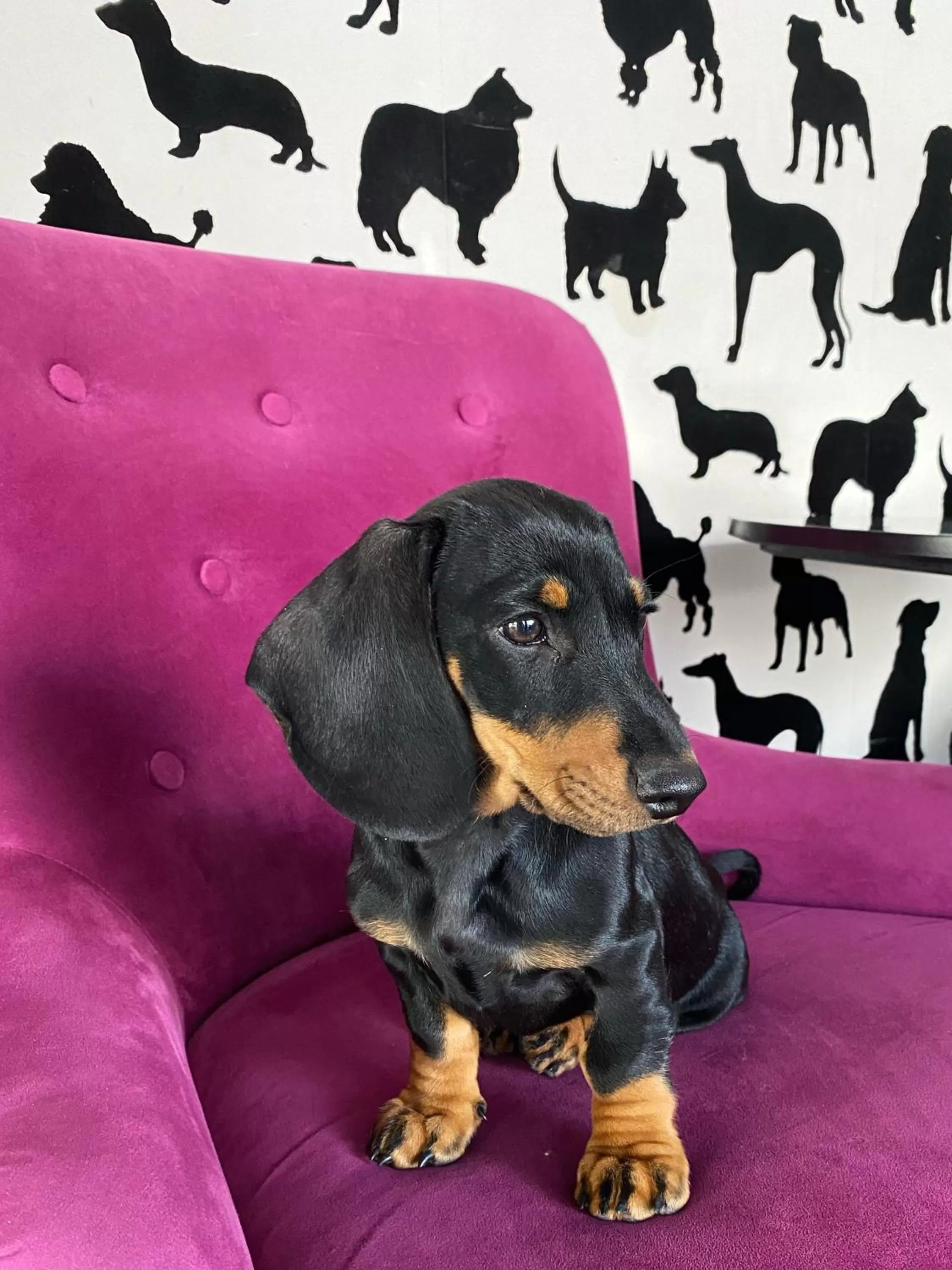 Lobby or reception in Huskvarna Stadshotell