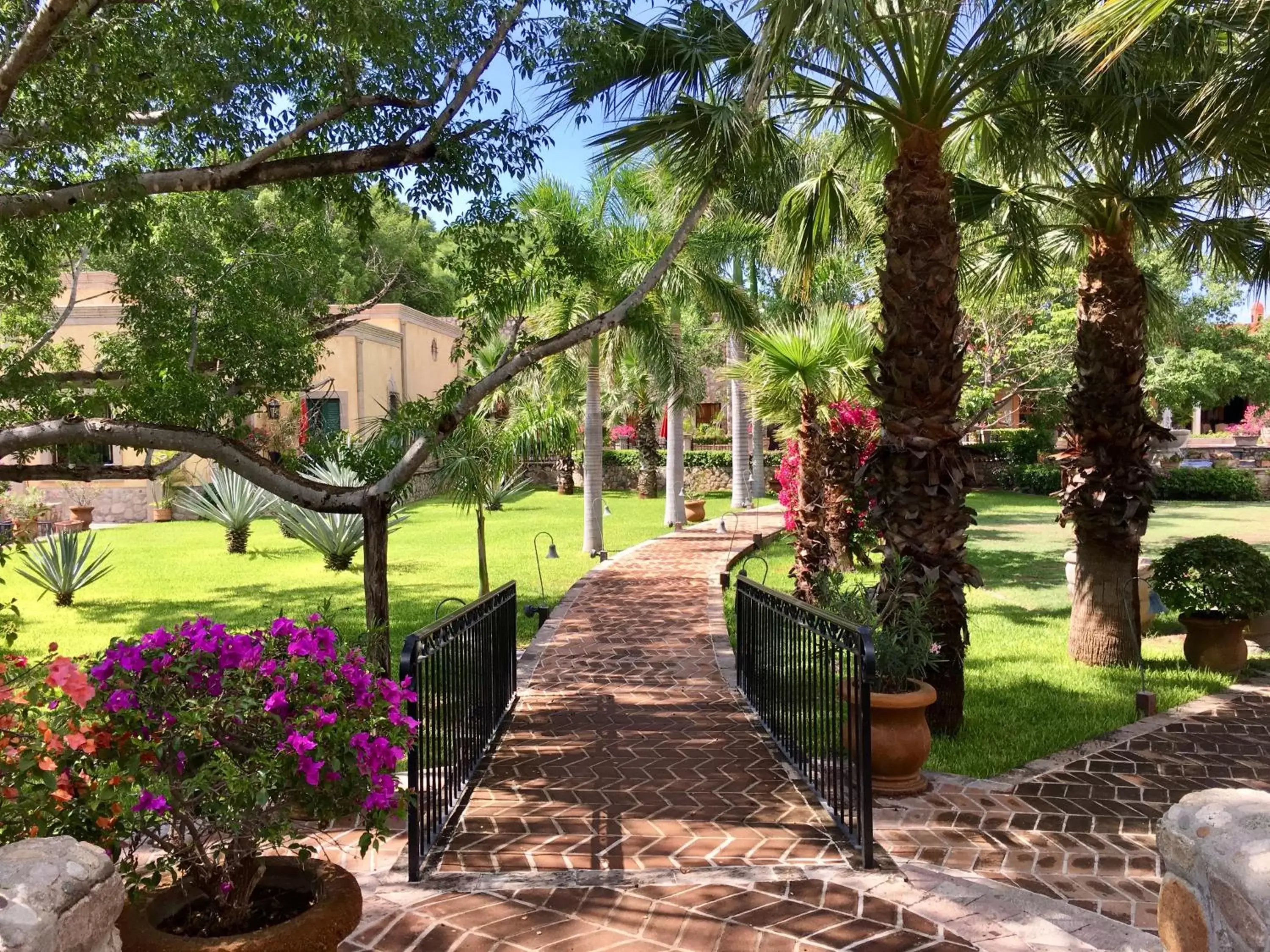 Garden in Hacienda de los Santos