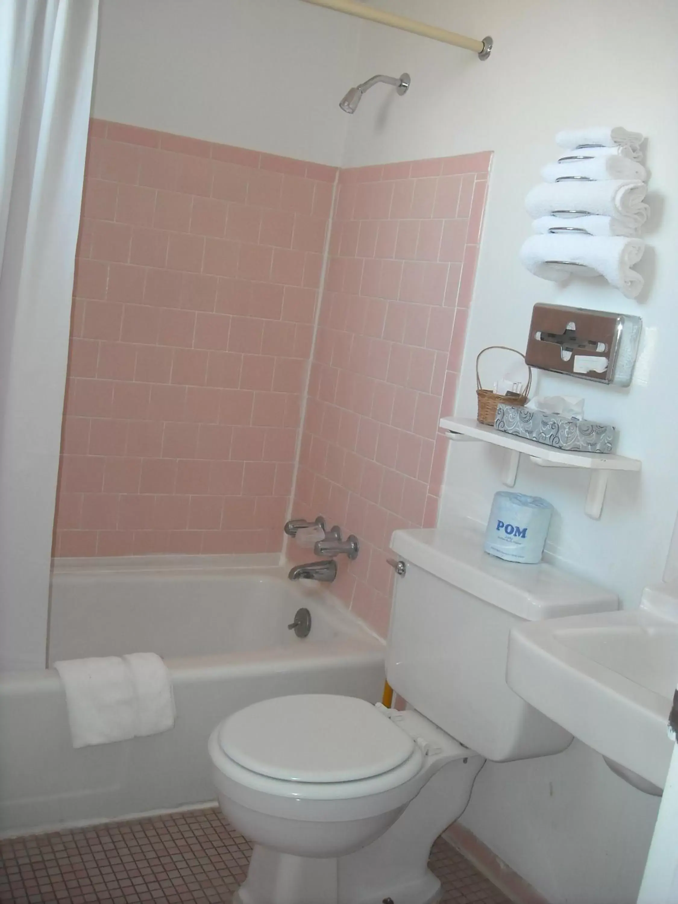 Shower, Bathroom in Stagecoach 66 Motel