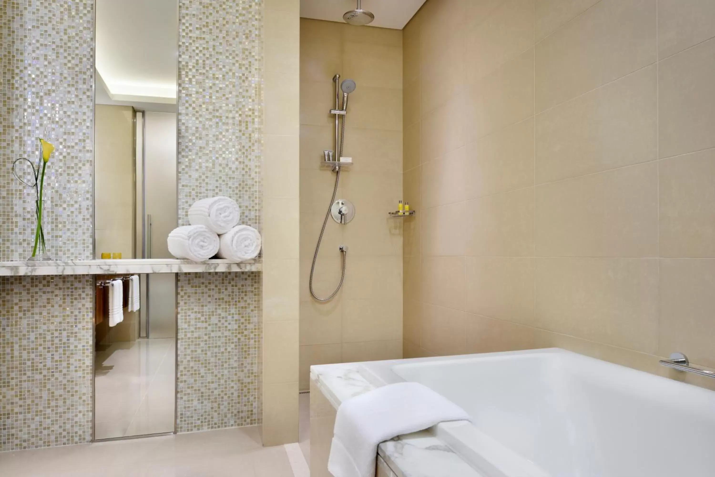 Shower, Bathroom in Marriott Hotel Downtown Abu Dhabi