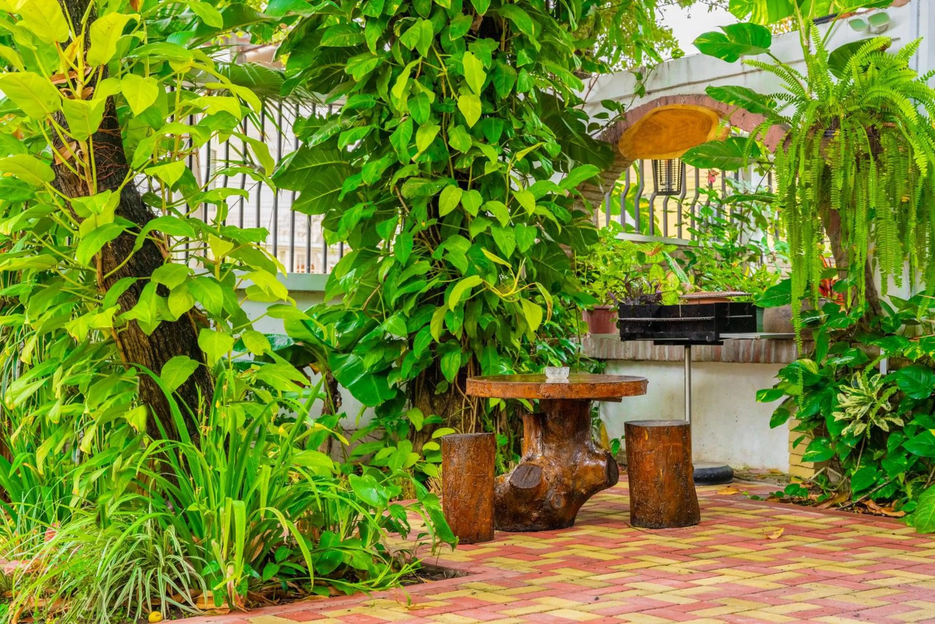 Garden in Hotel Boutique Platanal