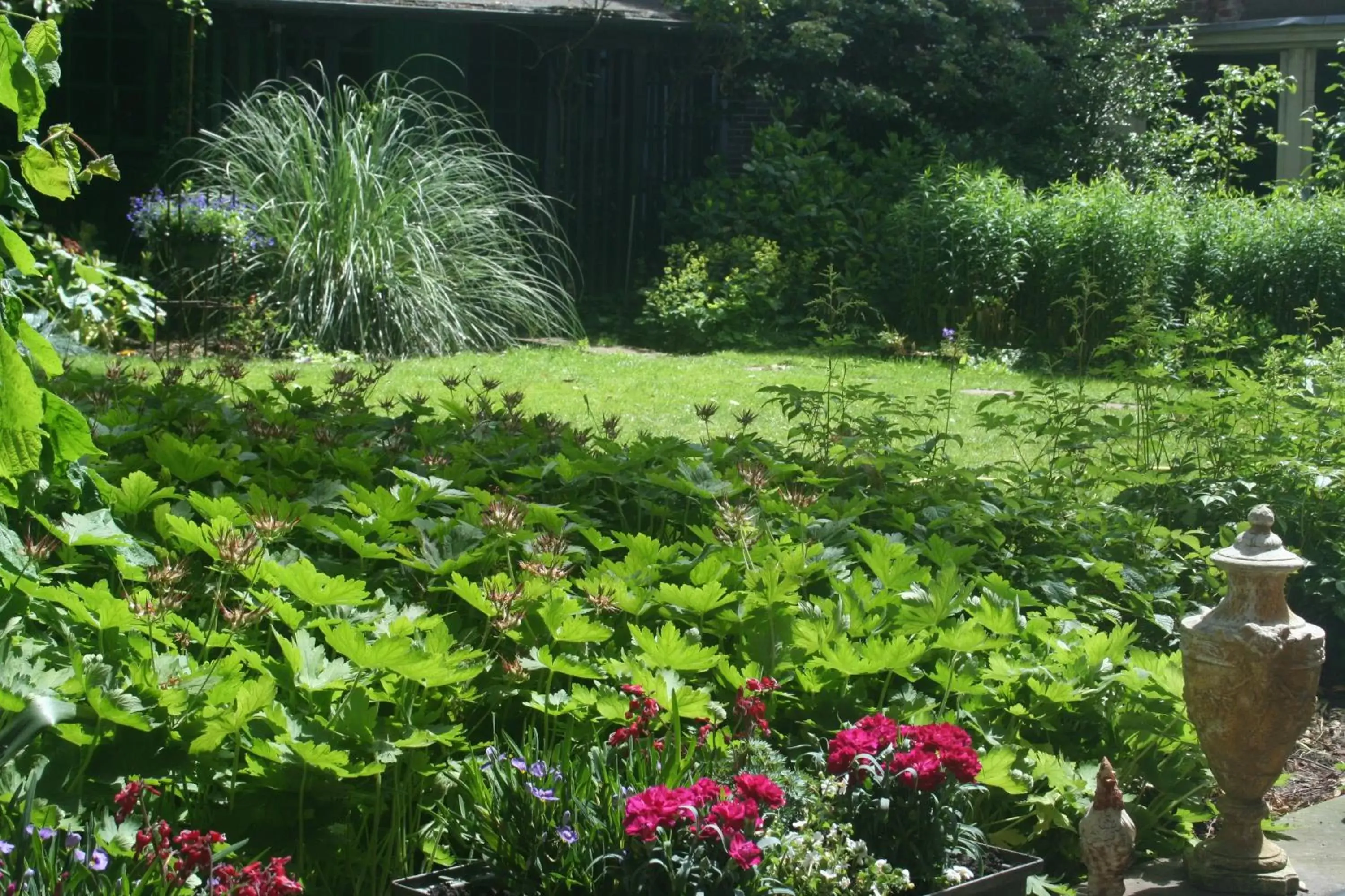 Garden view, Garden in B&B Het Hart van Haarlem