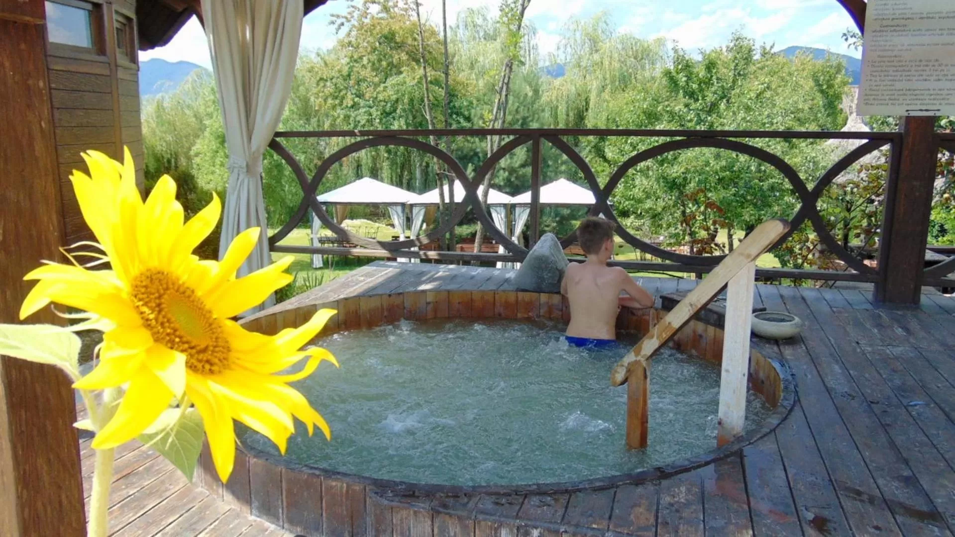 Swimming pool in Castel Transilvania