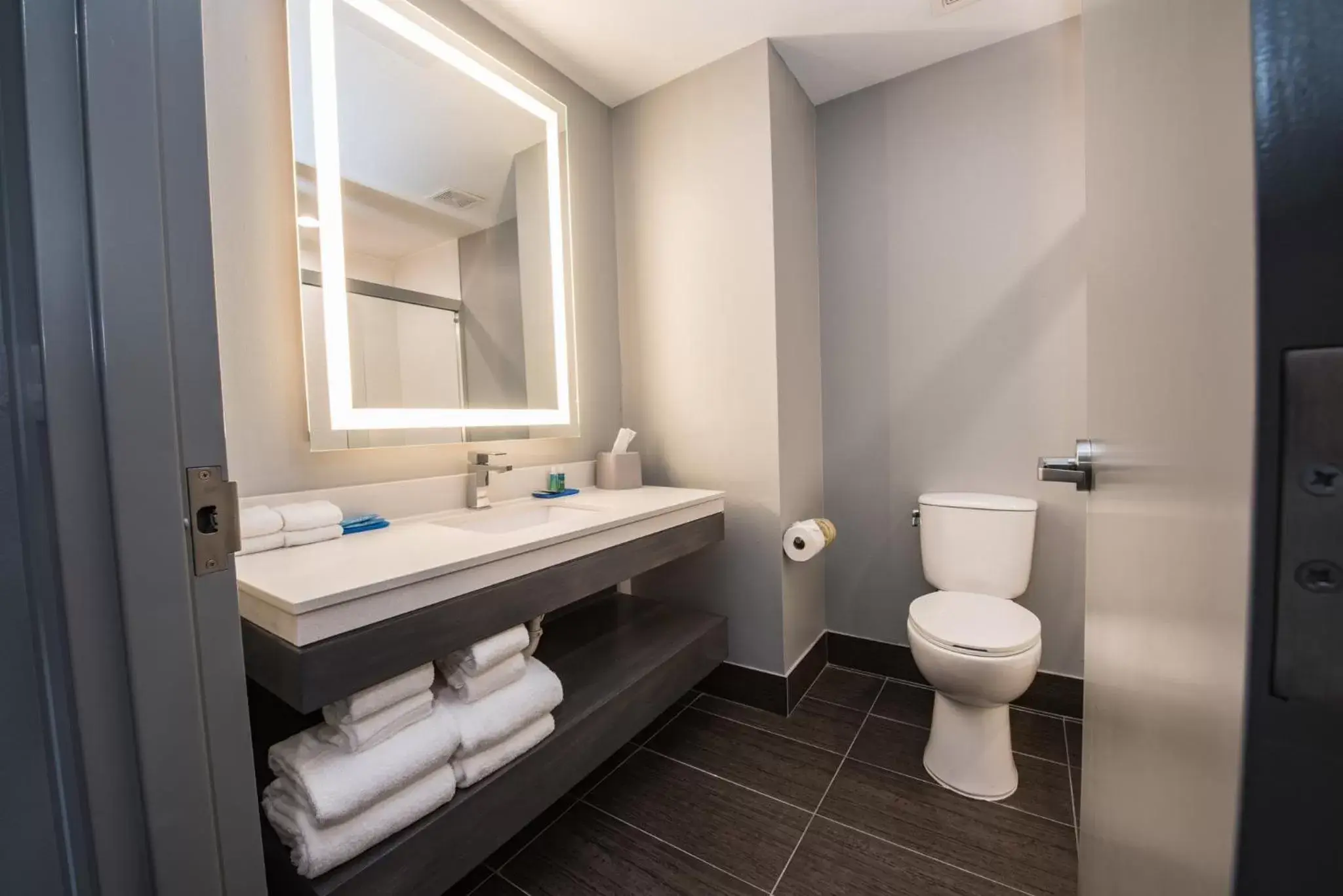 Bathroom in Holiday Inn Express & Suites Houston - Hobby Airport Area, an IHG Hotel