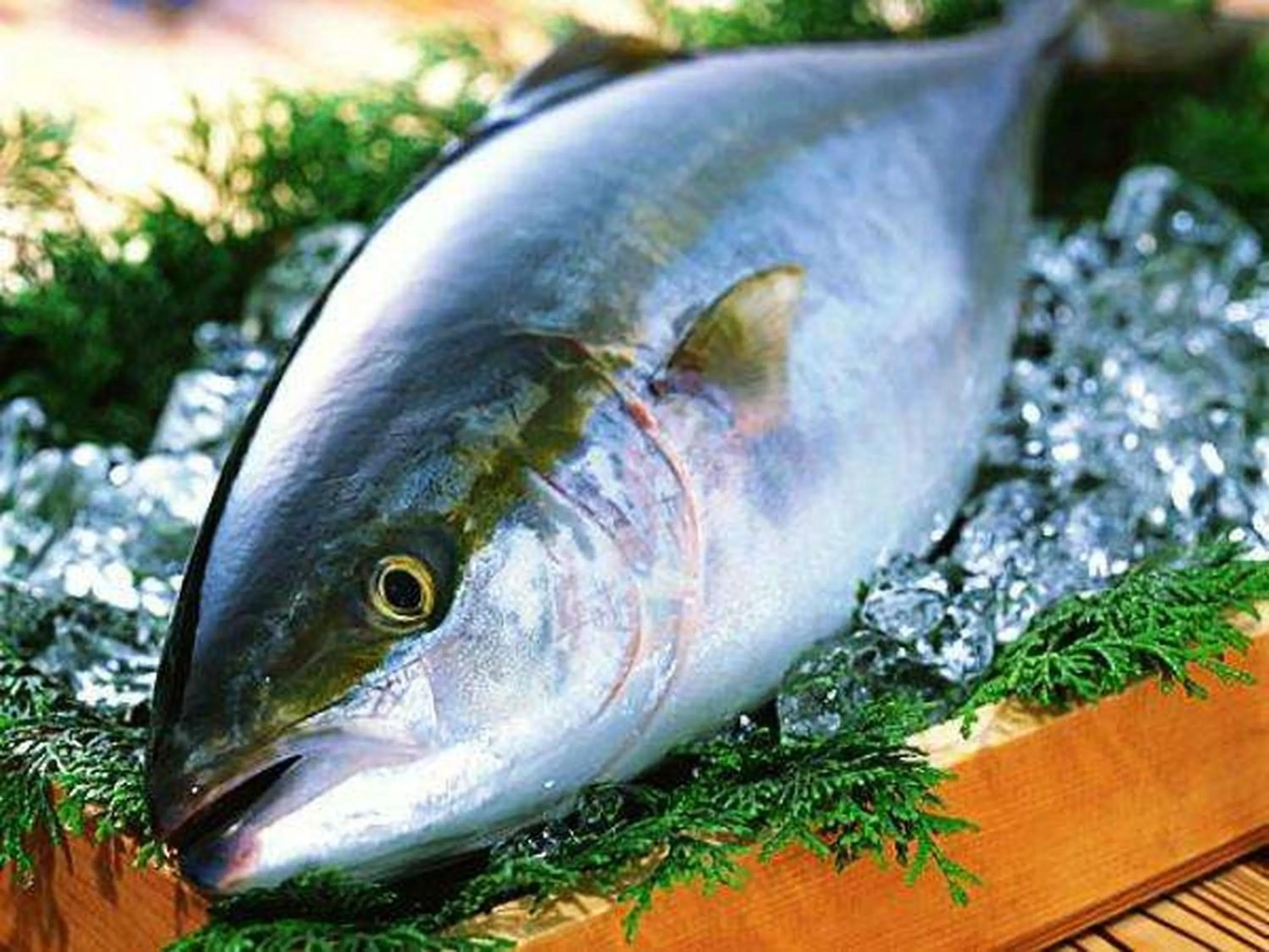 Other in APA Hotel Uozu Ekimae