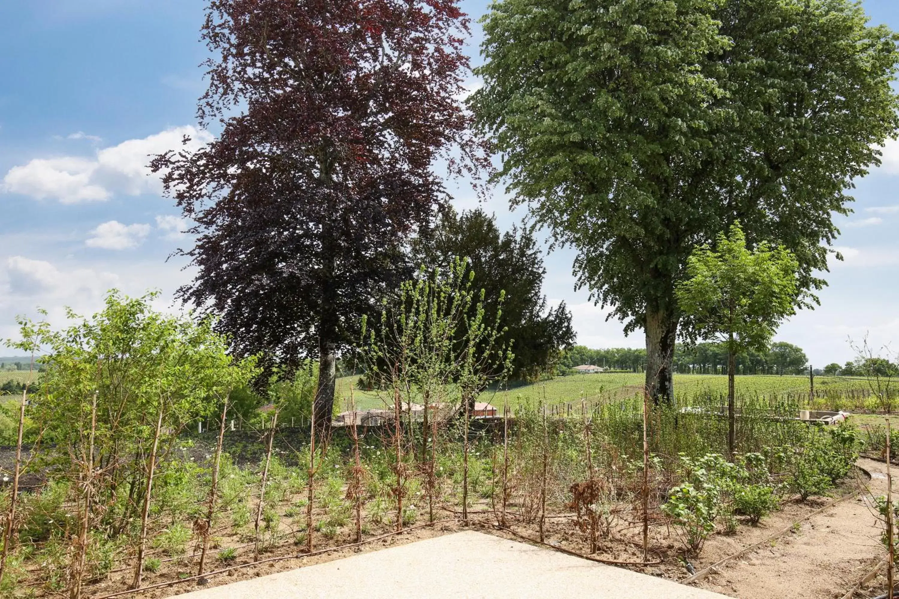 Garden in Le logis de Valandraud