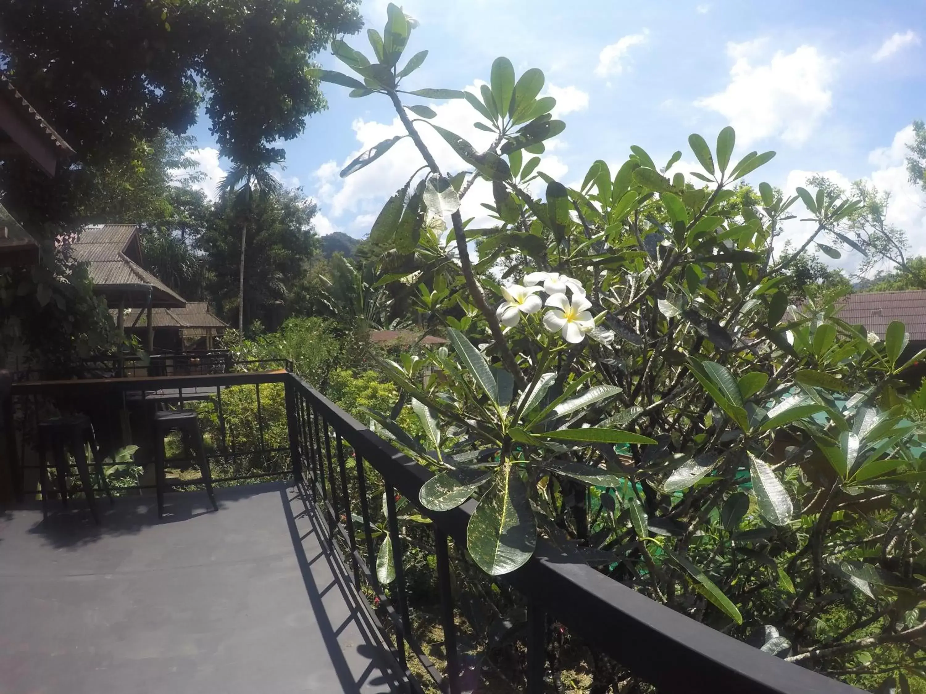 Balcony/Terrace in Khao Sok Morning Mist Resort