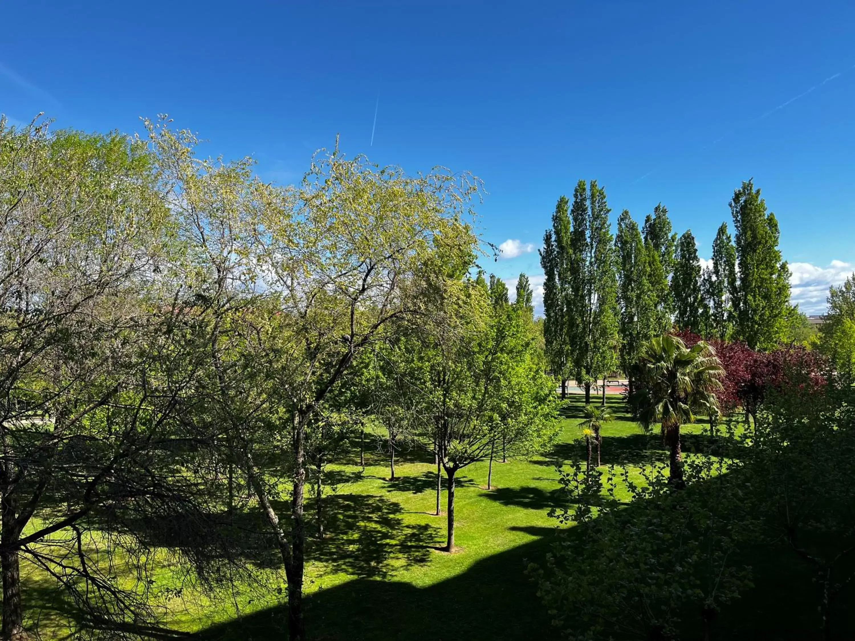 View (from property/room) in Hotel Logroño Parque