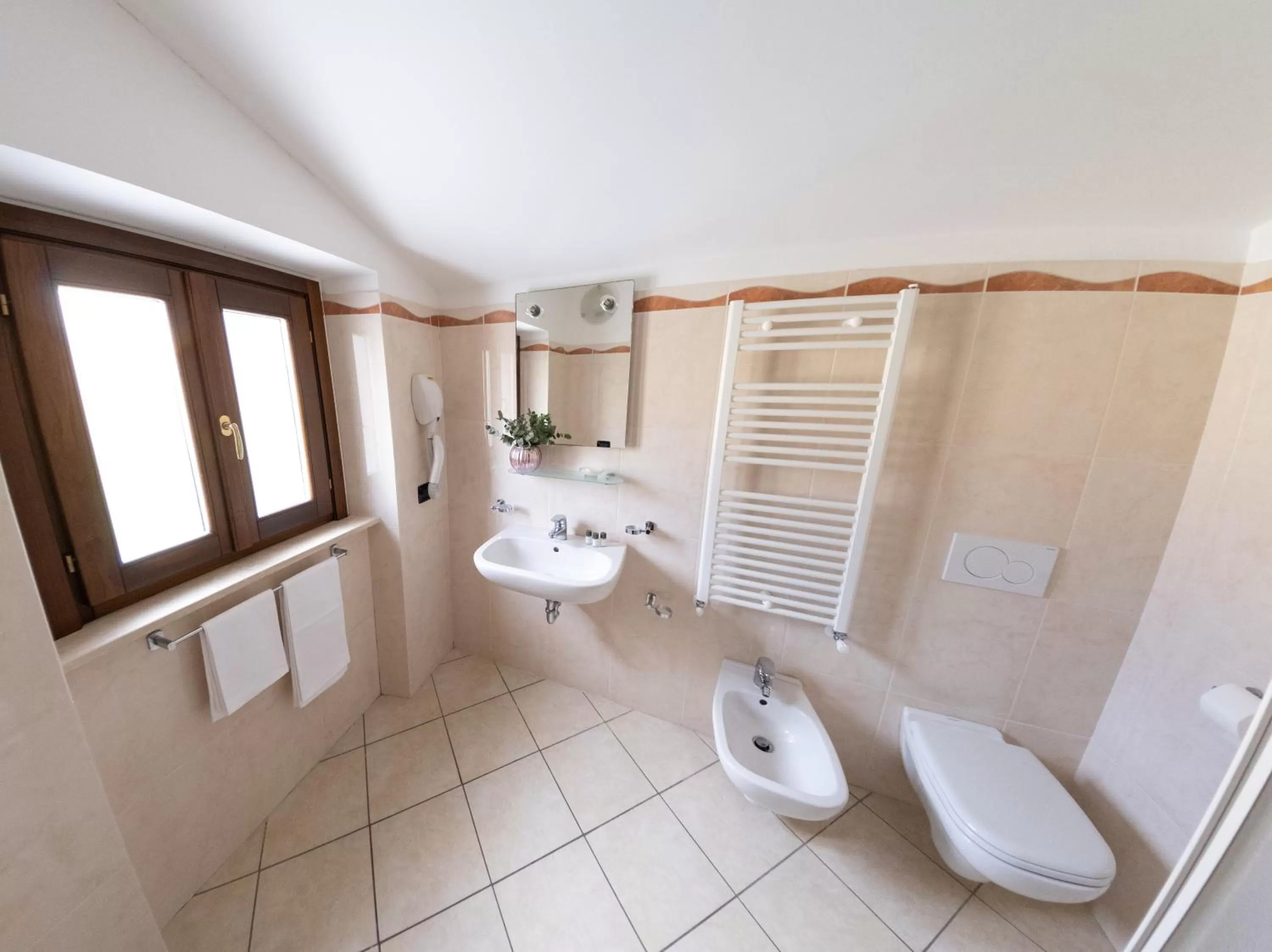 Shower, Bathroom in Country House Elite