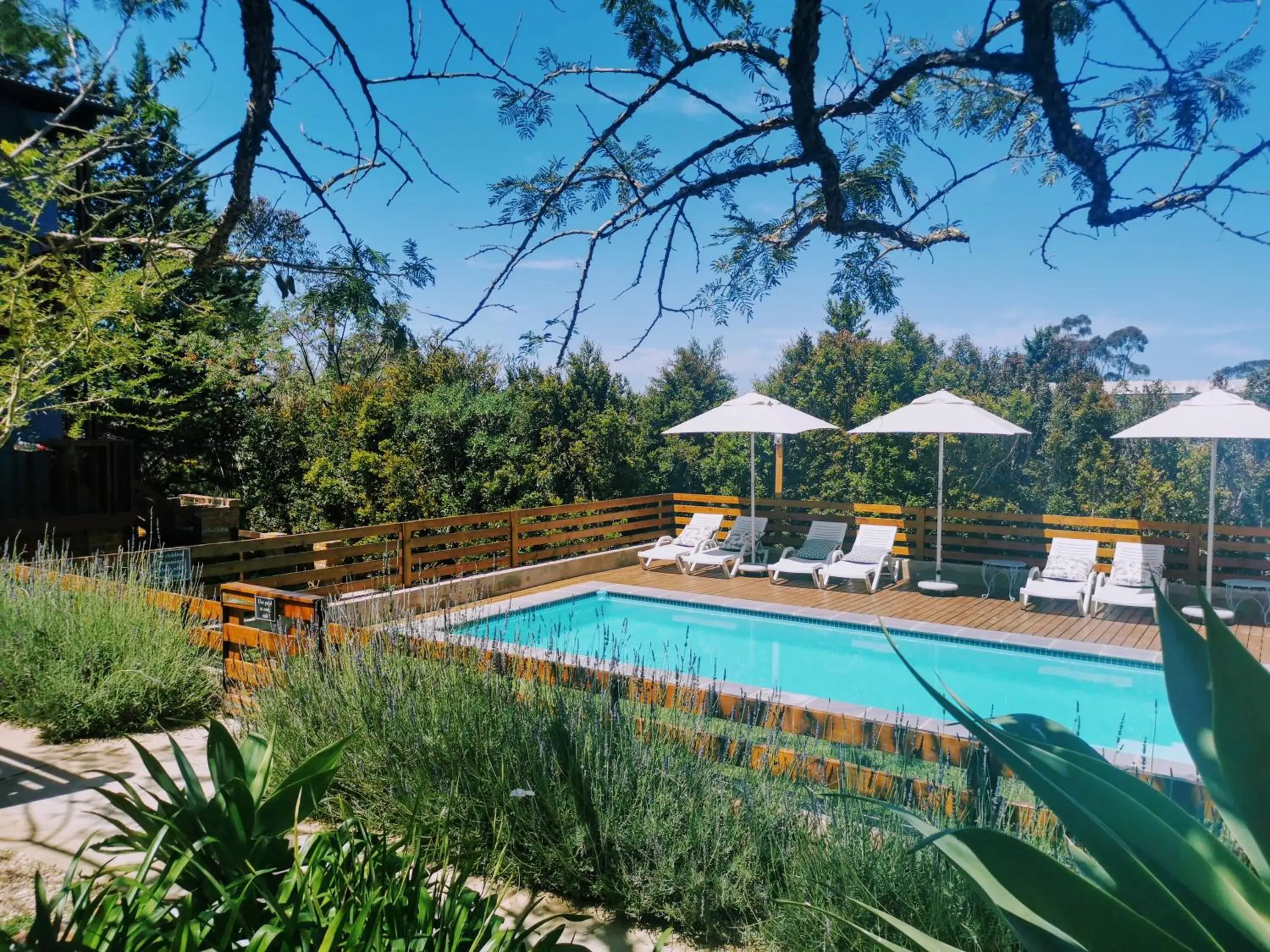 Garden, Swimming Pool in A Hilltop Country Retreat