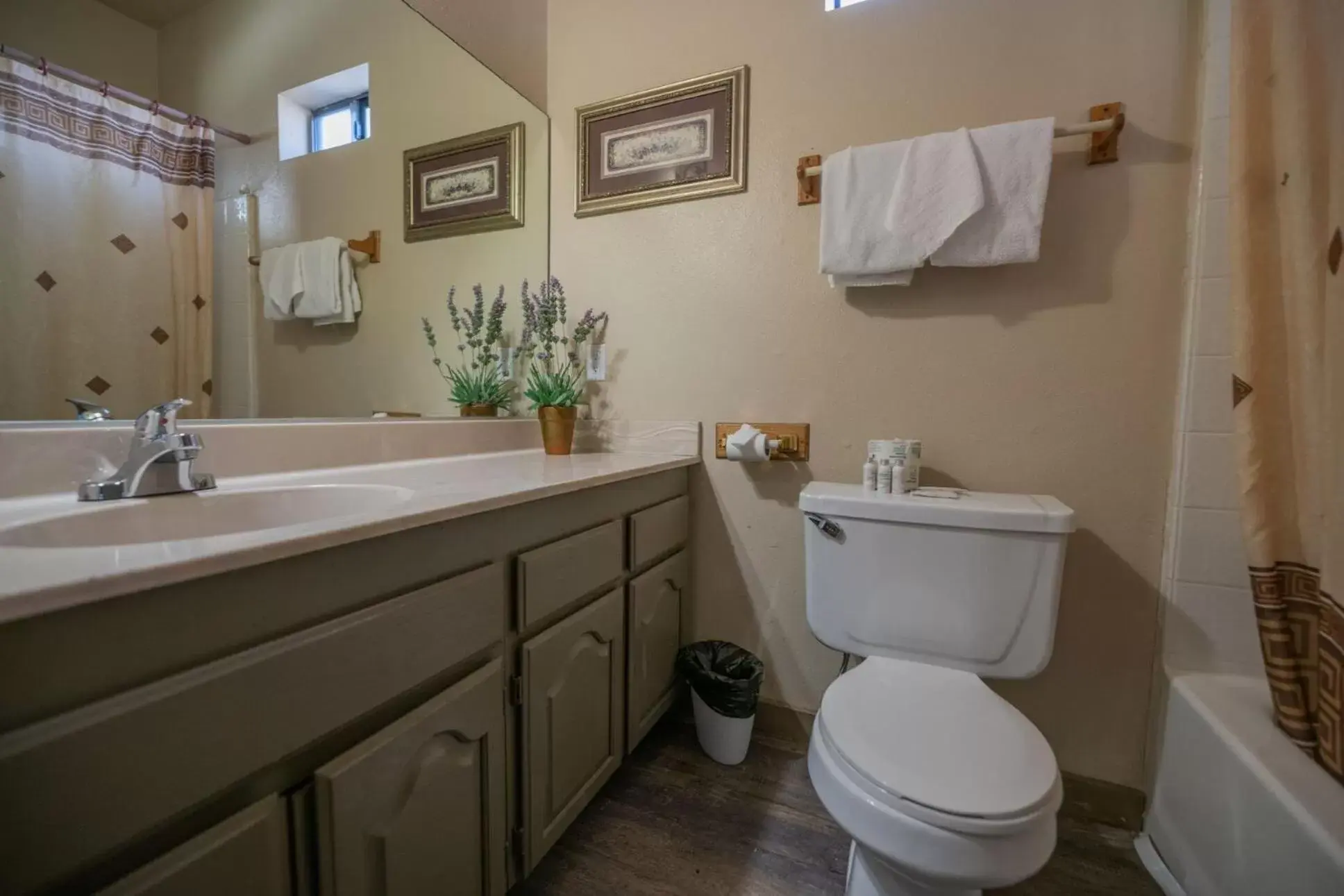 Bathroom in Black Forest Lodge