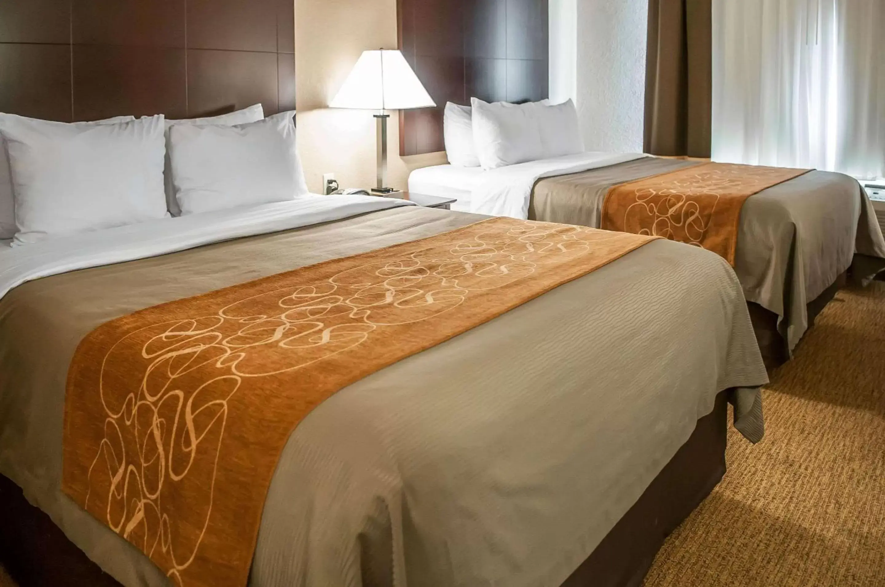 Queen Suite - Non-Smoking in Comfort Suites Albuquerque-North Journal Center Queen Suite - Non-Smoking in Comfort Suites Albuquerque-North Journal Center