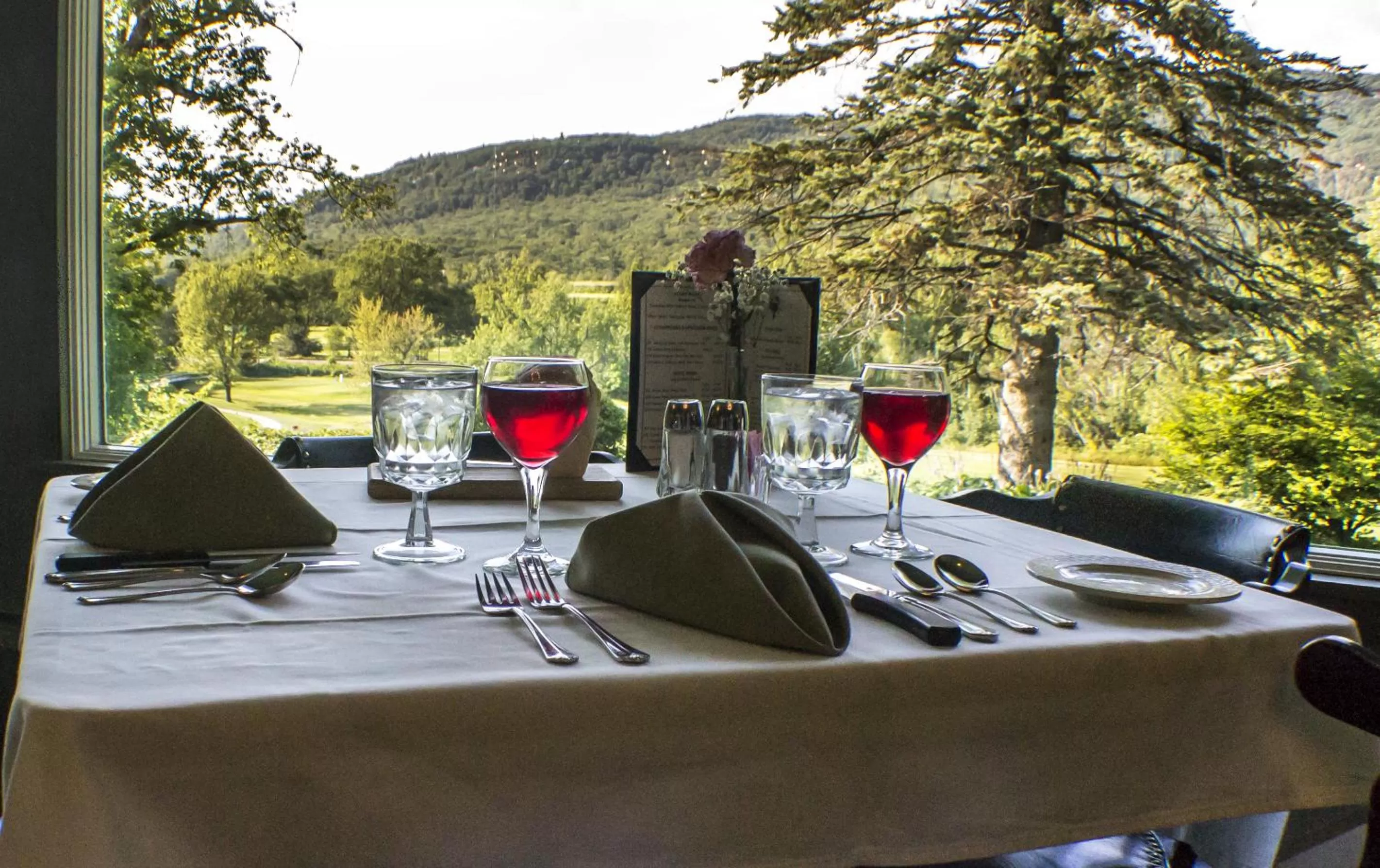 Restaurant/places to eat in Town & Country Inn & Resort