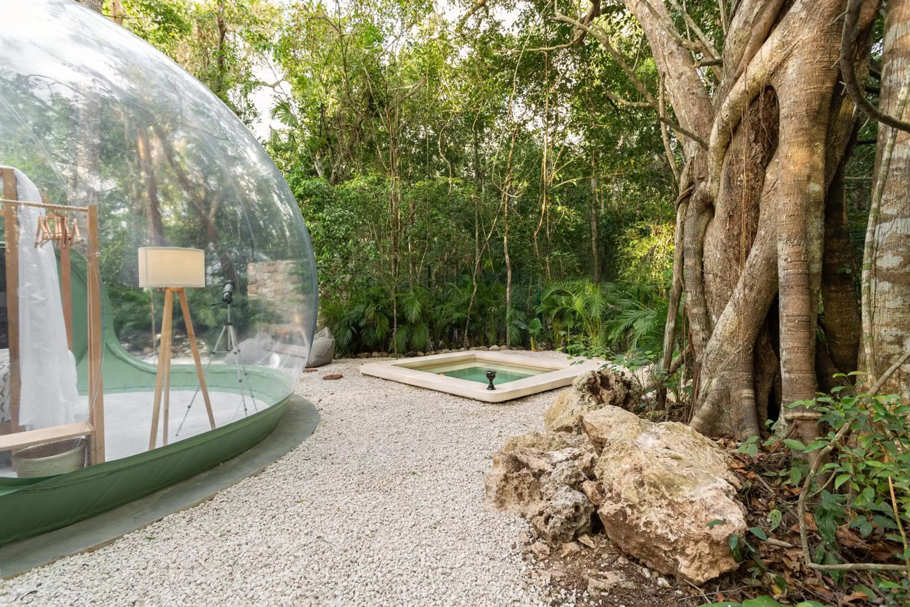 Garden, Swimming Pool in Oom Bubble Boutique Riviera Cancun