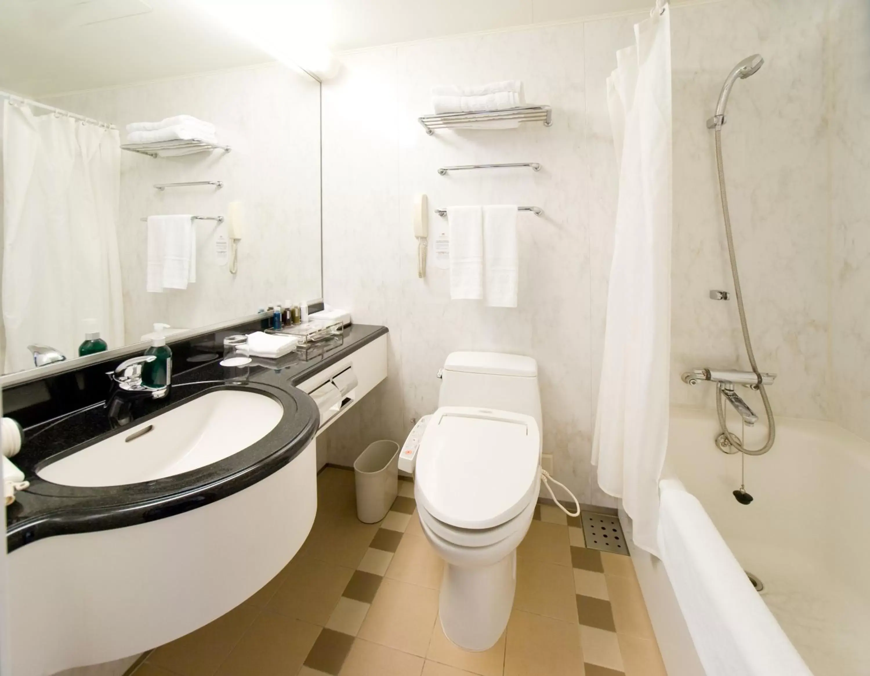 Bathroom in ANA Crowne Plaza Toyama, an IHG Hotel