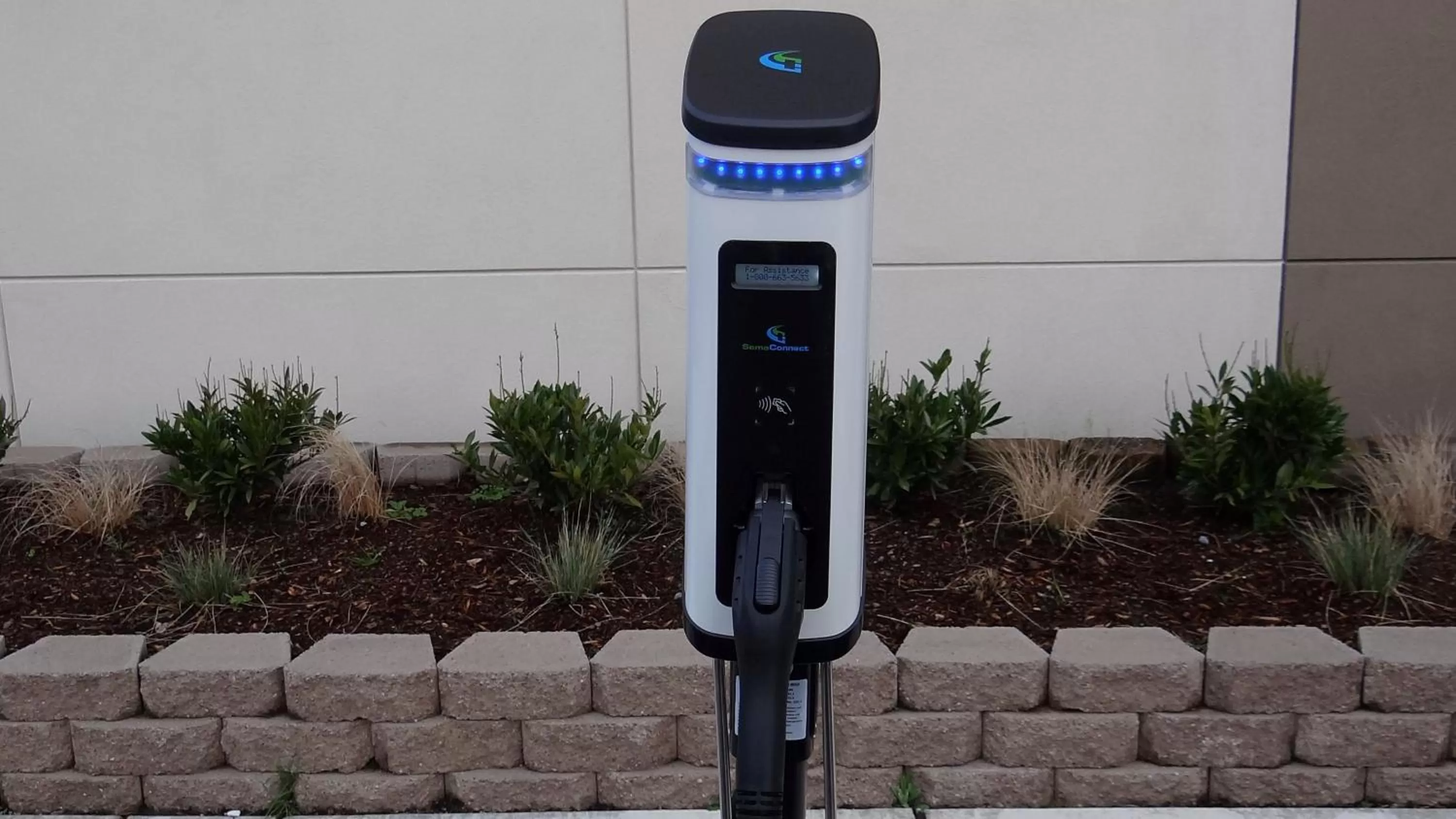 Decorative detail in Holiday Inn Express & Suites - Auburn Downtown by IHG