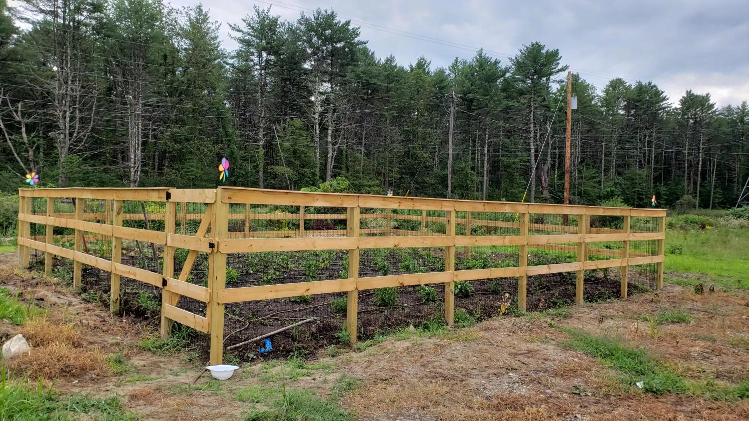 Garden in Sara Glen Motel - Saratoga Springs-Glens Falls