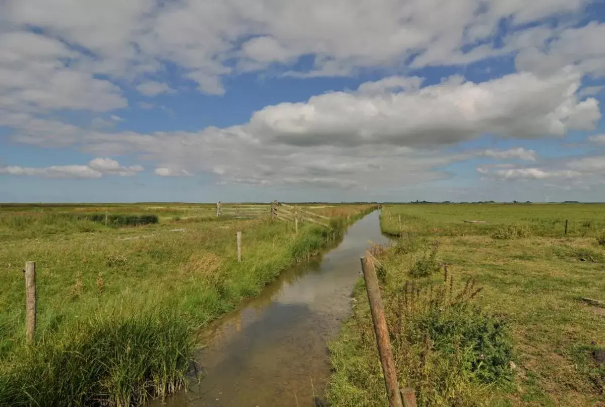 Natural Landscape in 't Laaisterplakky