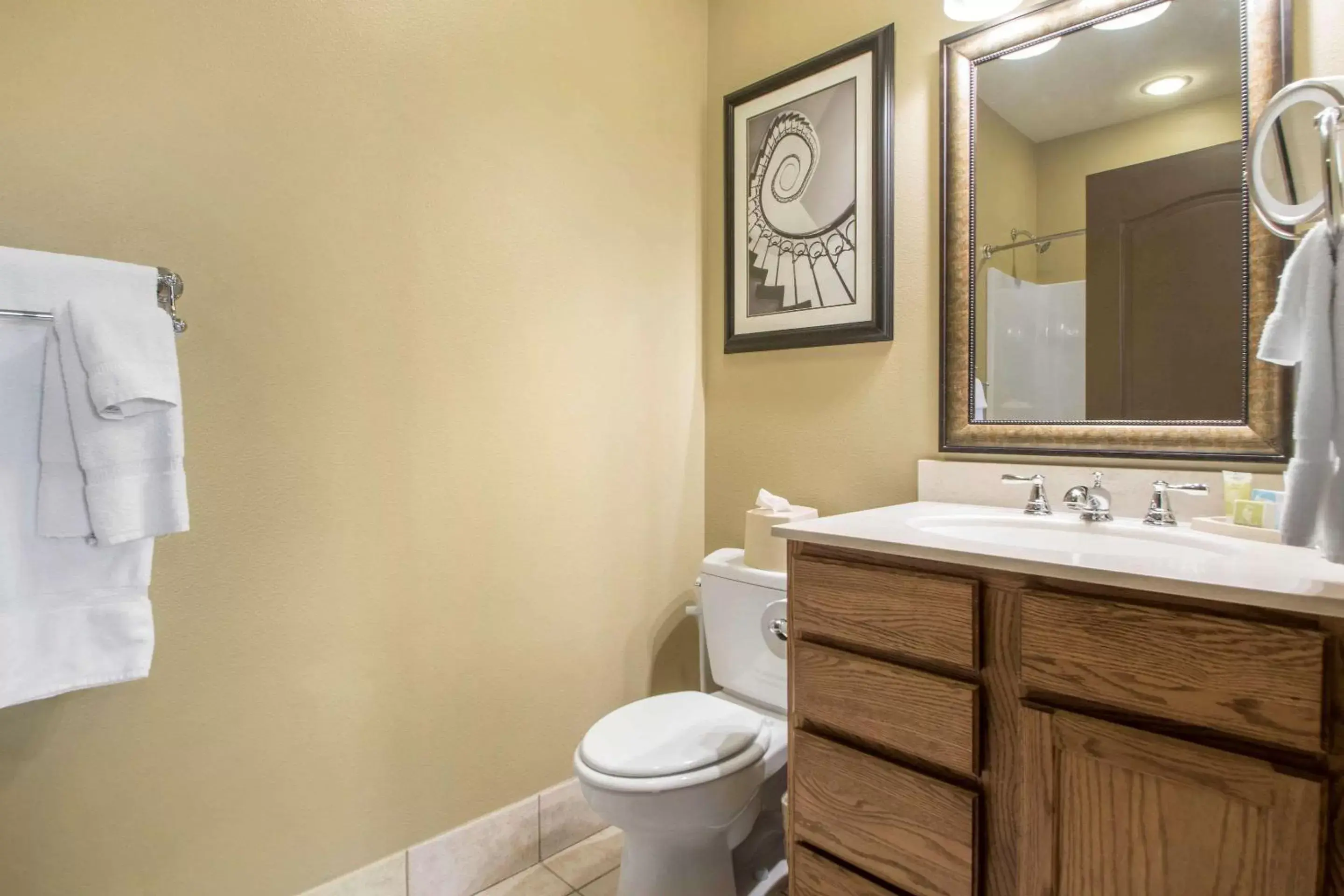 Toilet, Bathroom in Bluegreen Vacations Odyssey Dells Resort