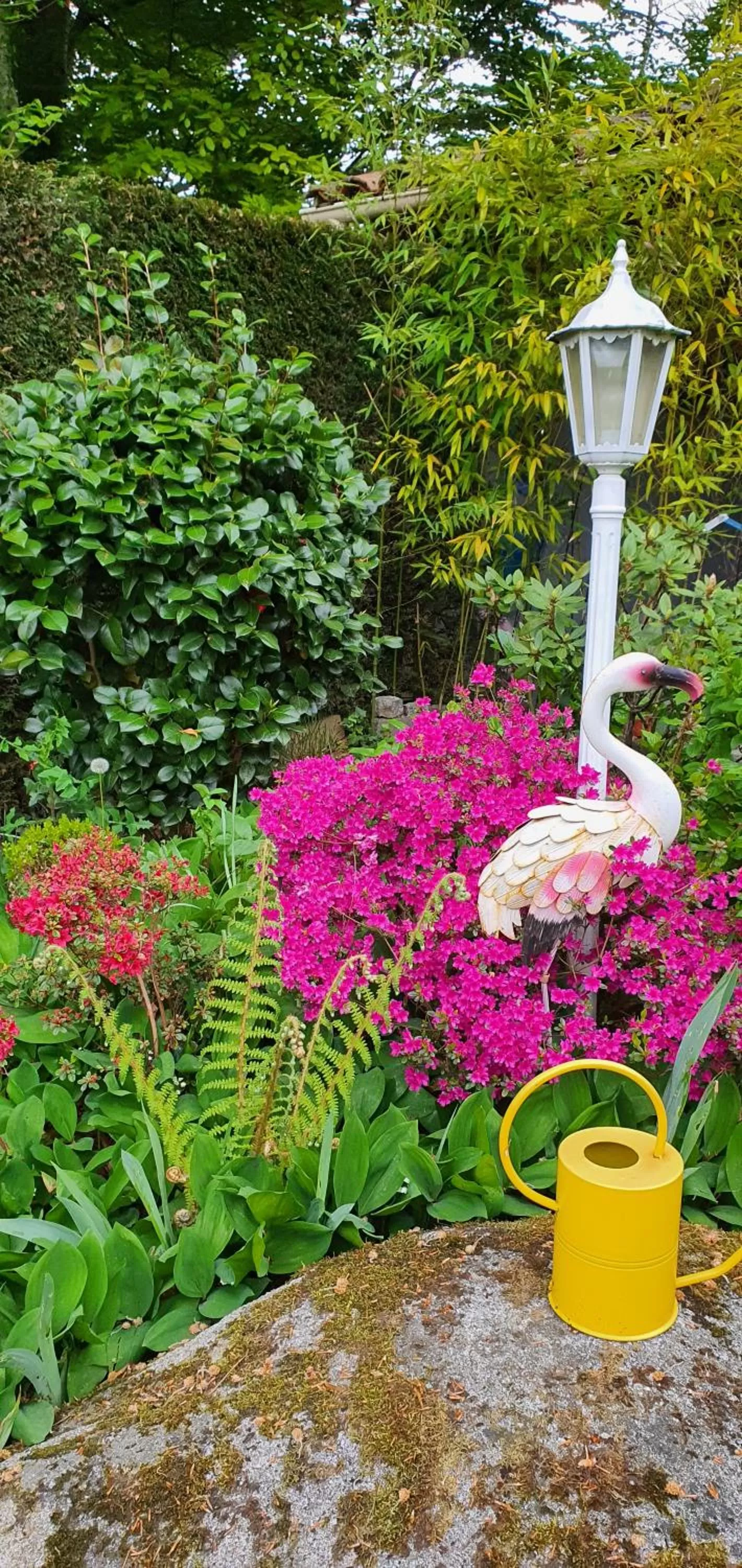 Spring in A l'Ecole Buissonnière, chambre d'hôtes en Sidobre
