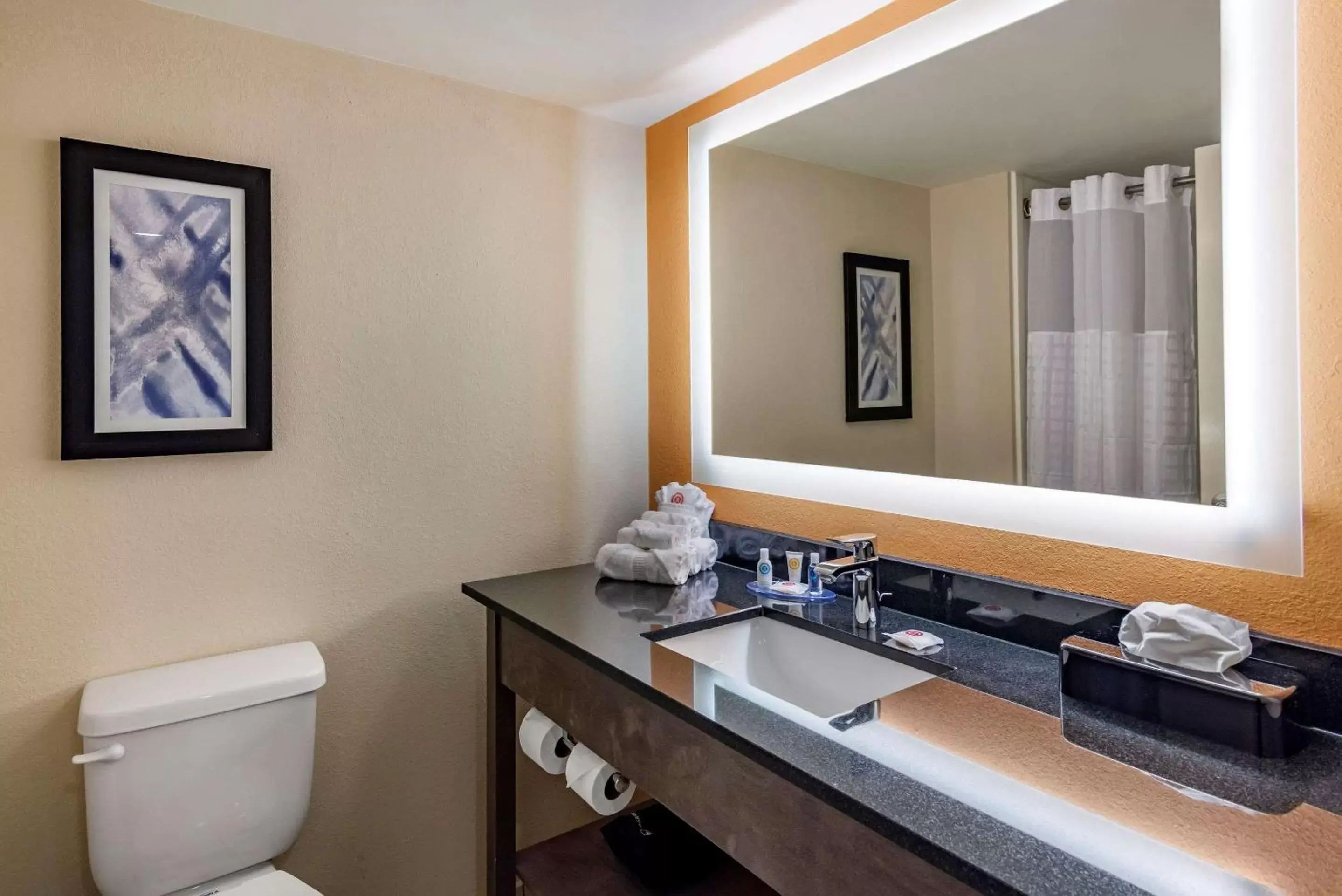 Bathroom in Comfort Suites Alpharetta - Roswell - Atlanta Area