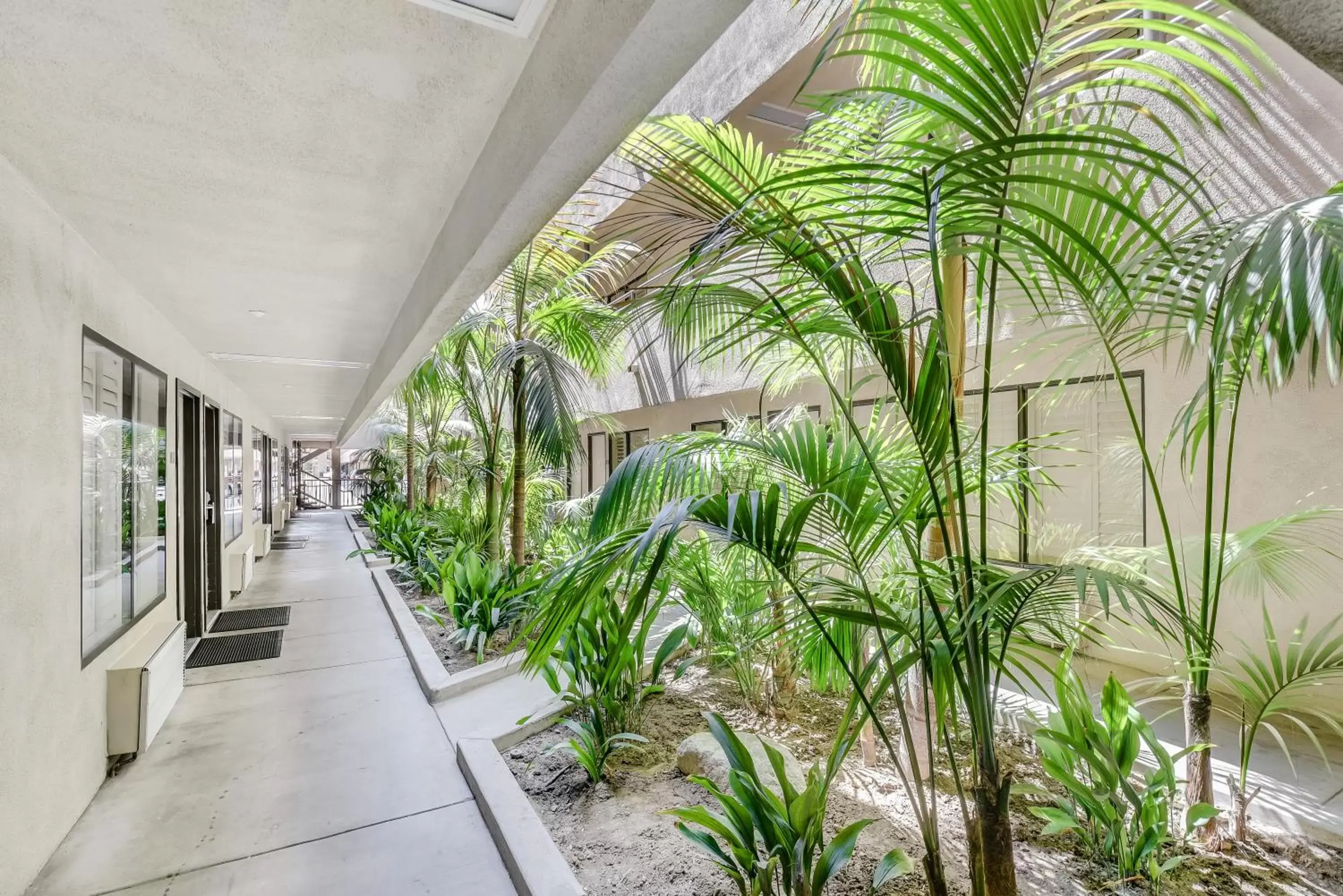 Garden, Balcony/Terrace in Anaheim Desert Inn & Suites