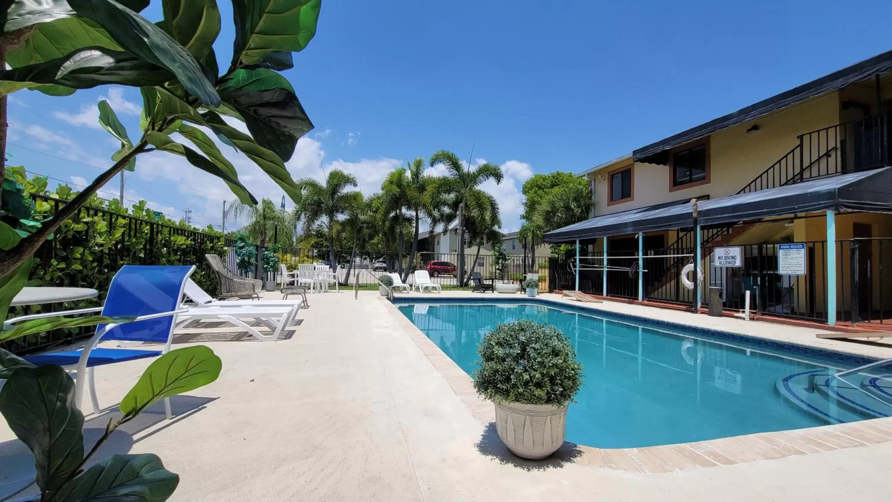 Pool view, Swimming Pool in Sunny Palms Inn