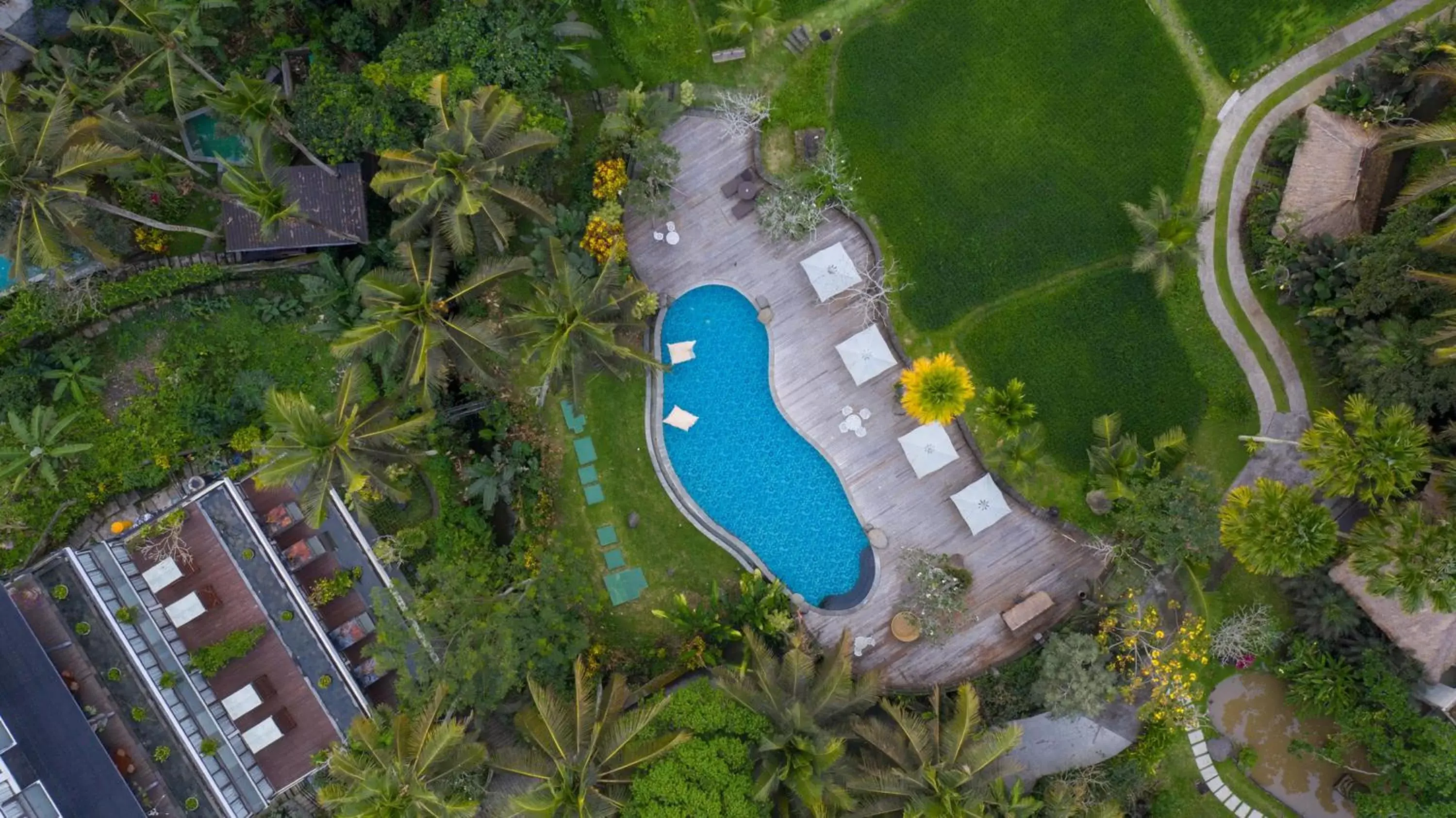 Property building in Plataran Ubud Hotel & Spa - CHSE Certified Property building in Plataran Ubud Hotel & Spa - CHSE Certified