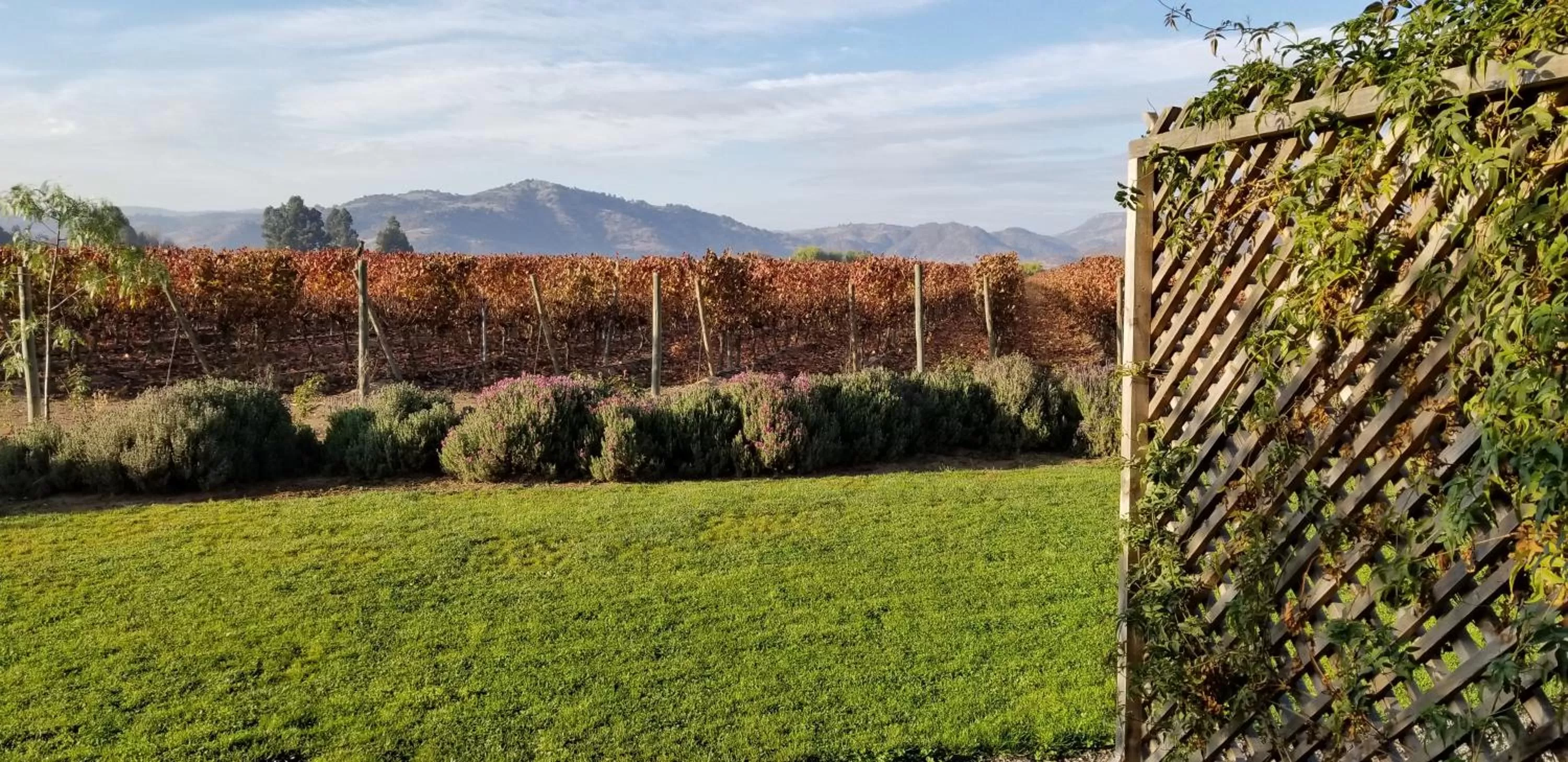 View (from property/room) in Callihue Lodge