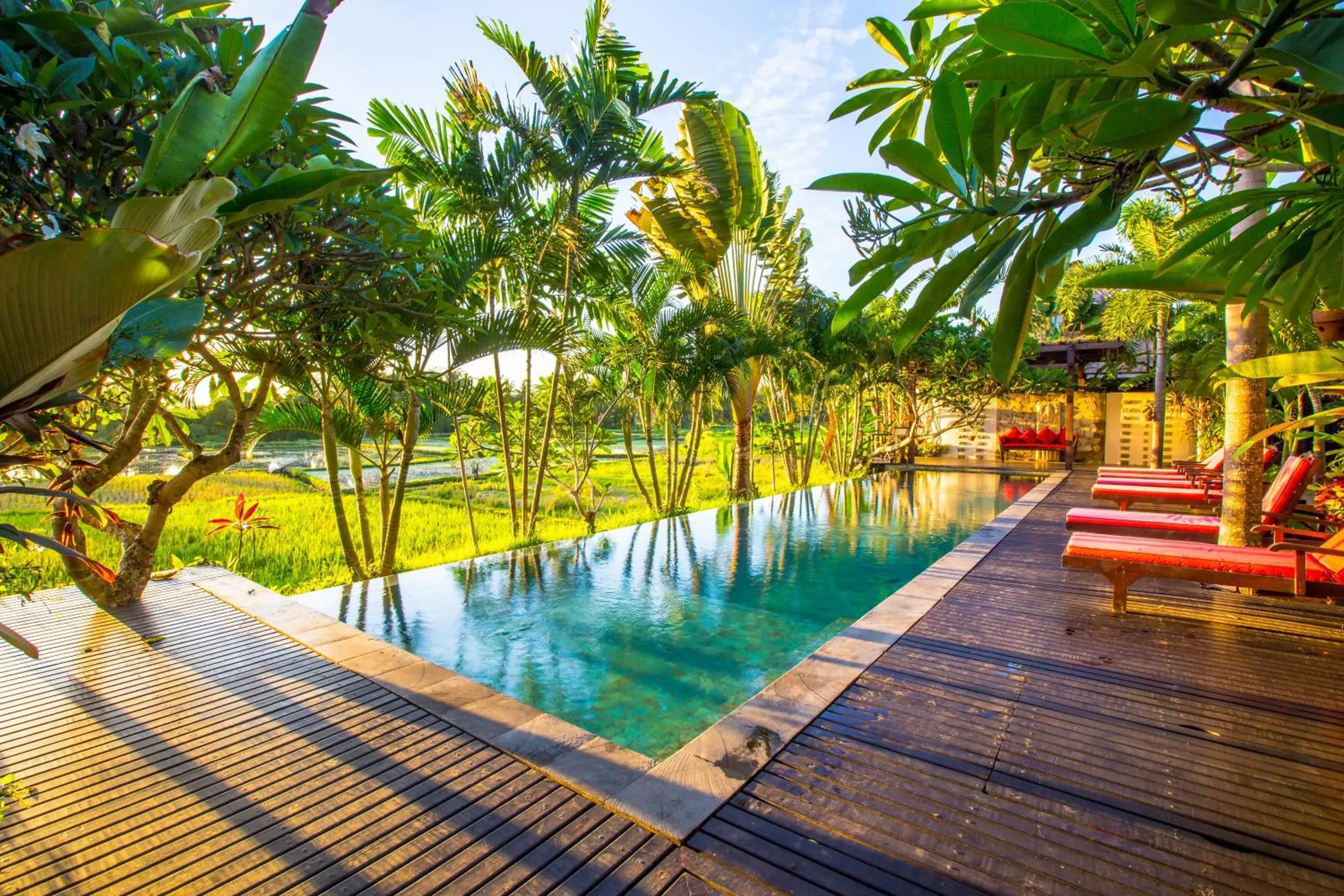 Balcony/Terrace, Swimming Pool in Bali Harmony Villa