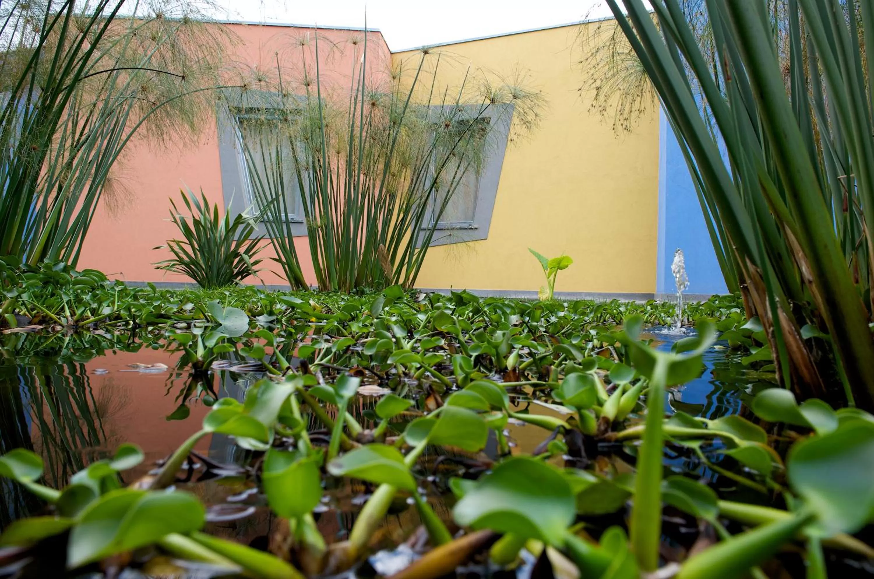Facade/entrance in ibis Styles Catania Acireale