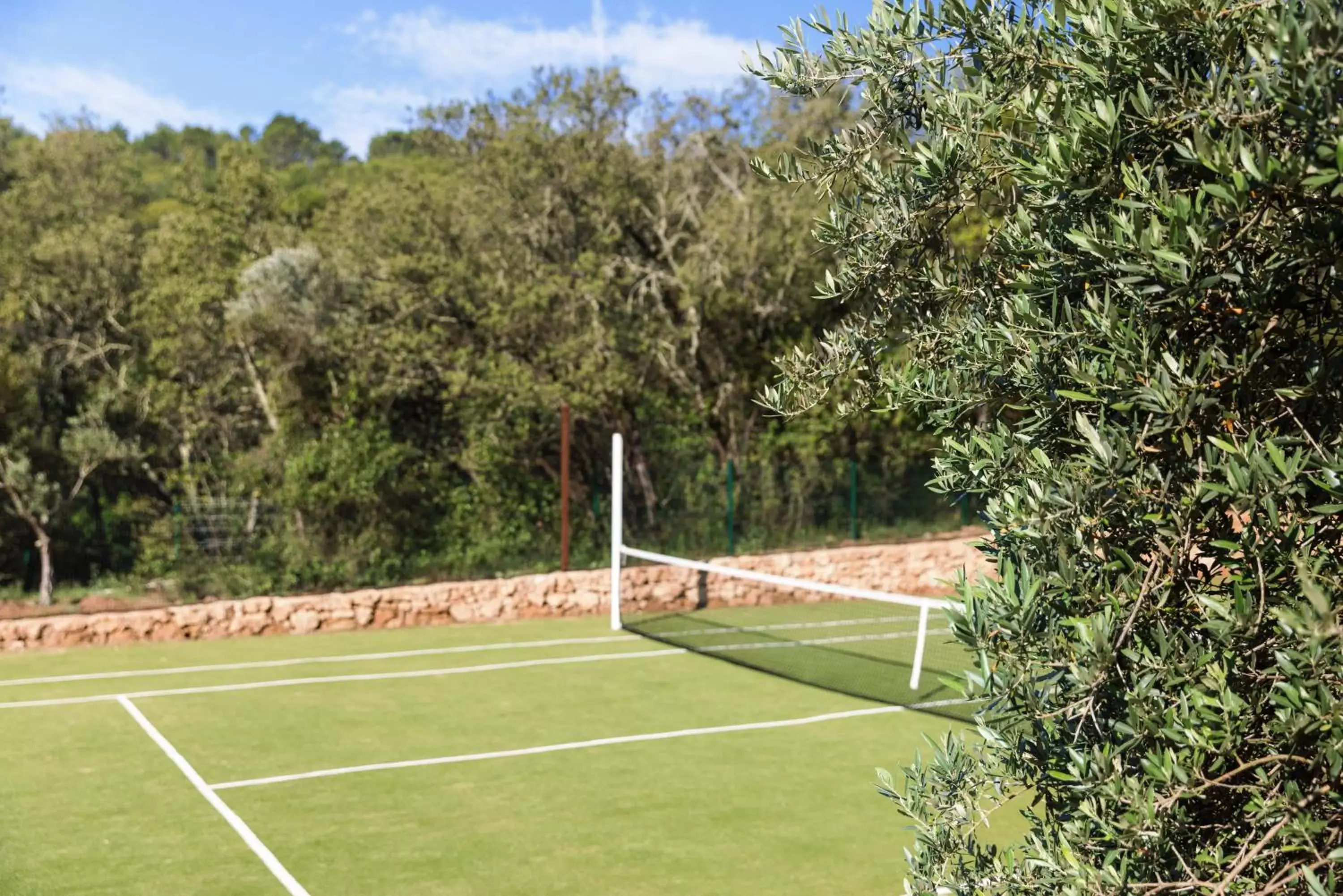 Tennis court, Tennis/Squash in LOU CALEN