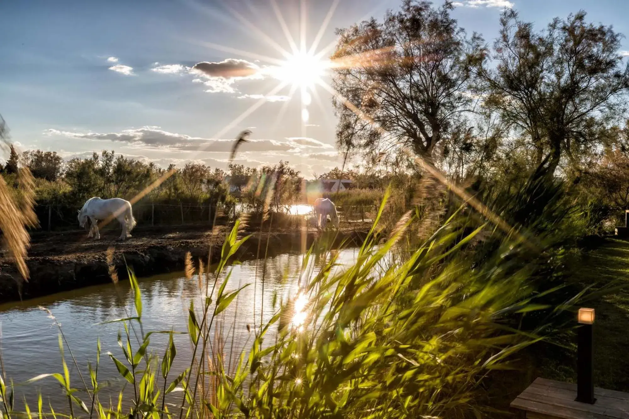 Natural landscape in Auberge Cavaliere du Pont des Bannes