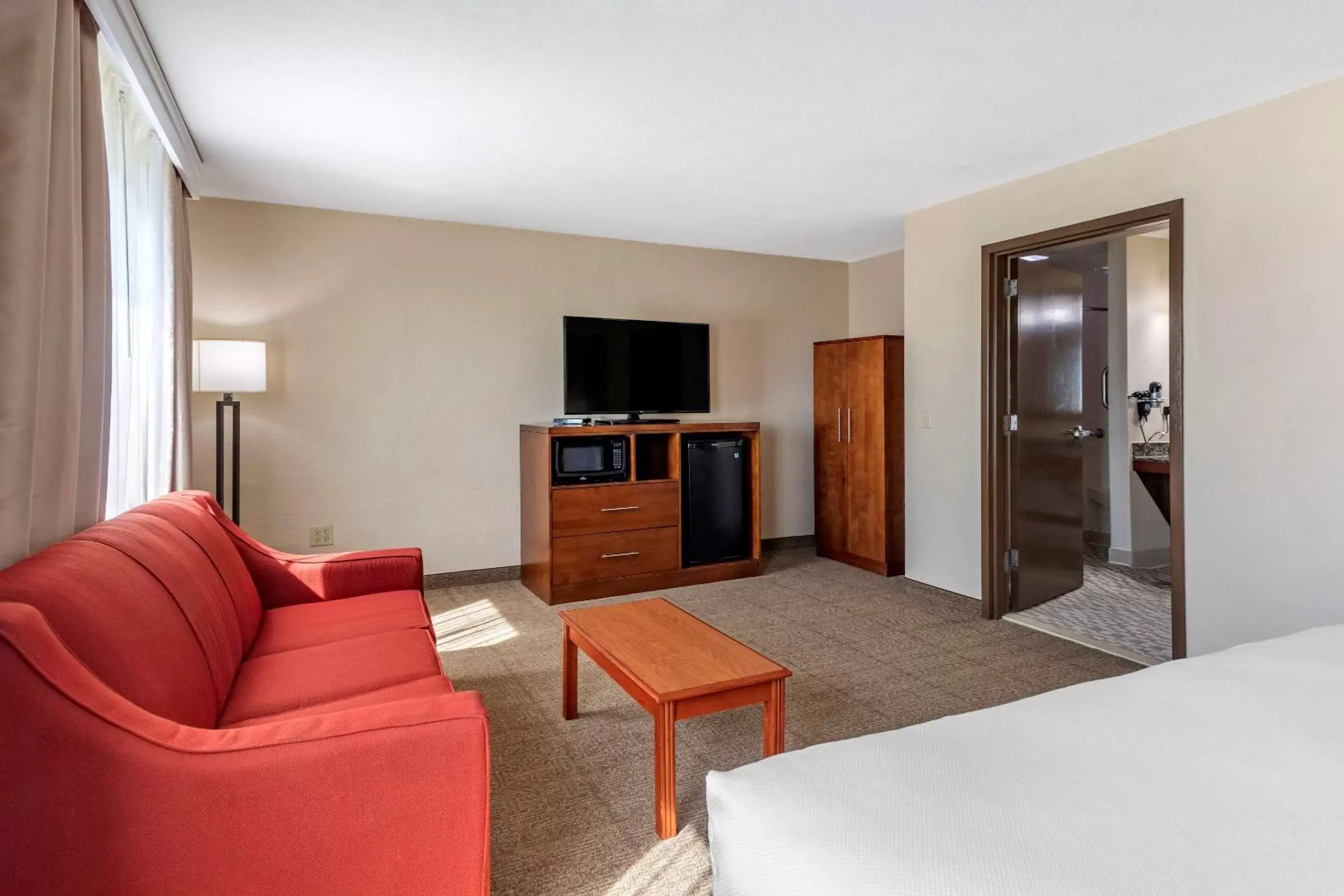 TV and multimedia, Seating Area in Comfort Inn Nashville West