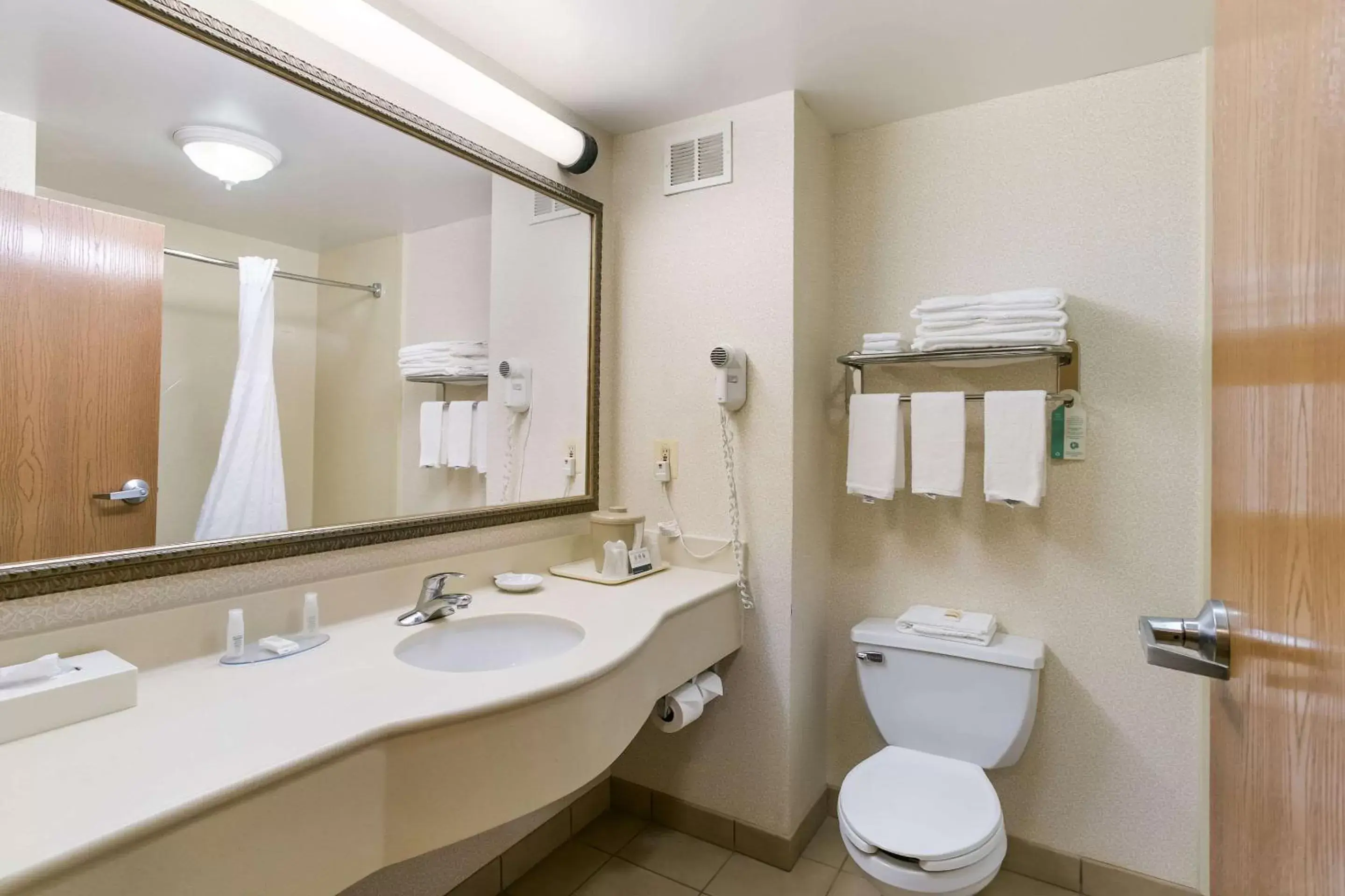 Bathroom in Quality Inn & Suites Bel Air I-95 Exit 77A