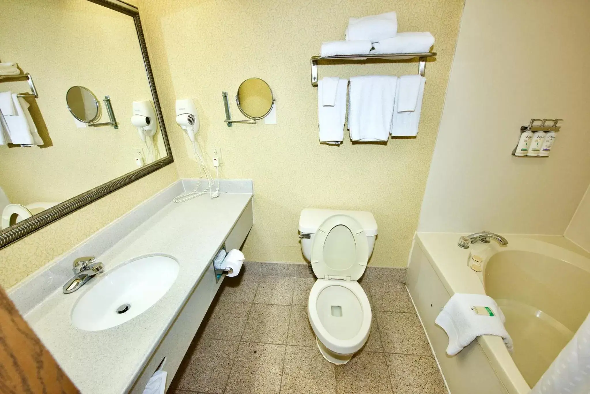 Photo of the whole room, Bathroom in Holiday Inn Express Hotel & Suites Fenton/I-44, an IHG Hotel