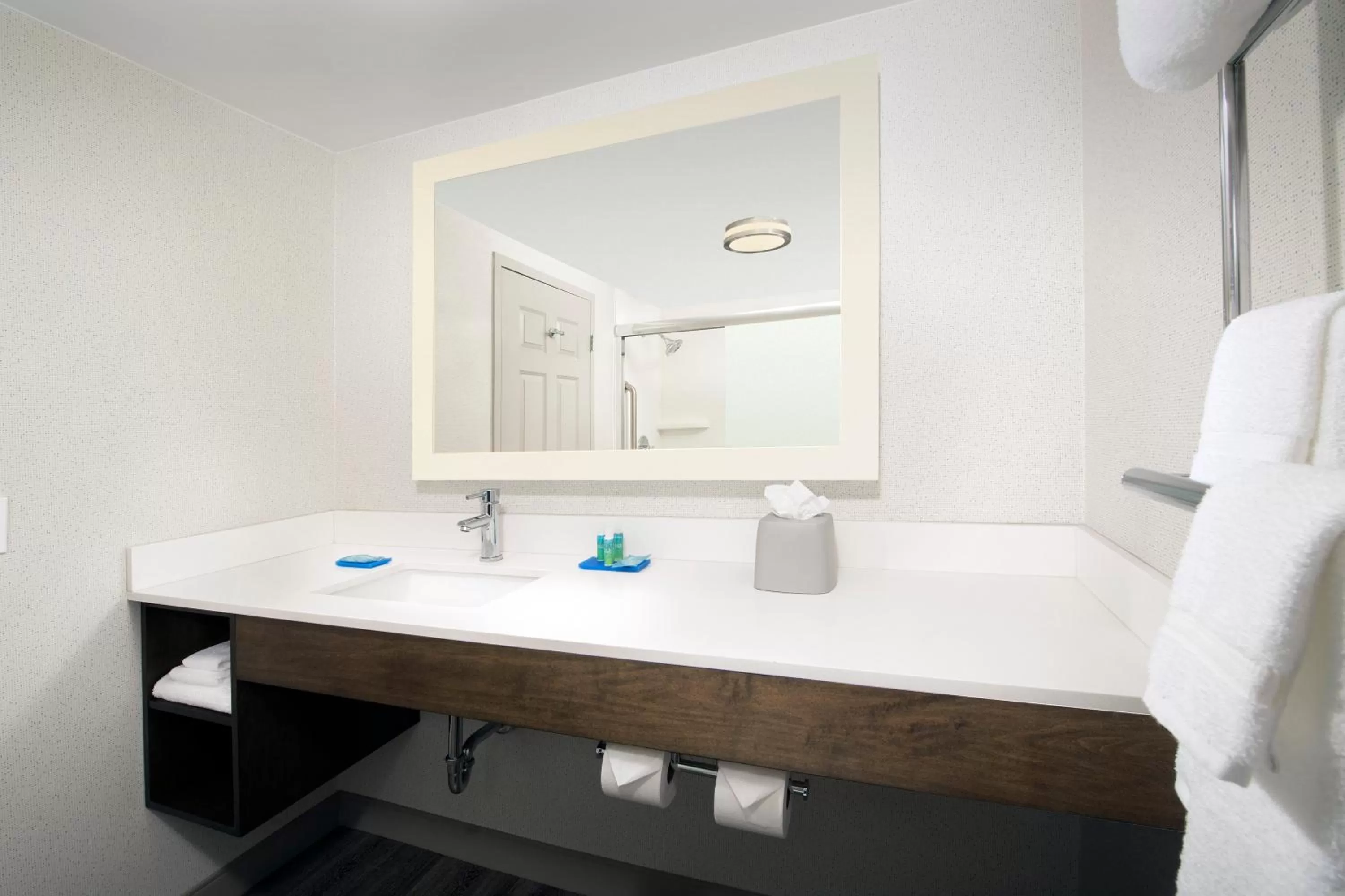 Suite - Hearing Accessible - Non-Smoking in Holiday Inn Express & Suites Baltimore - BWI Airport North by IHG