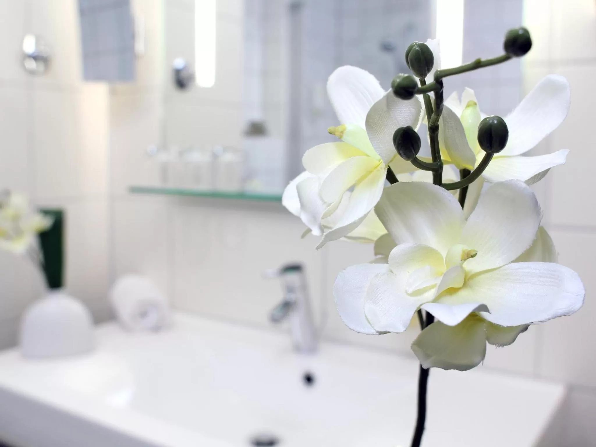 Bathroom in AMBER ECONTEL