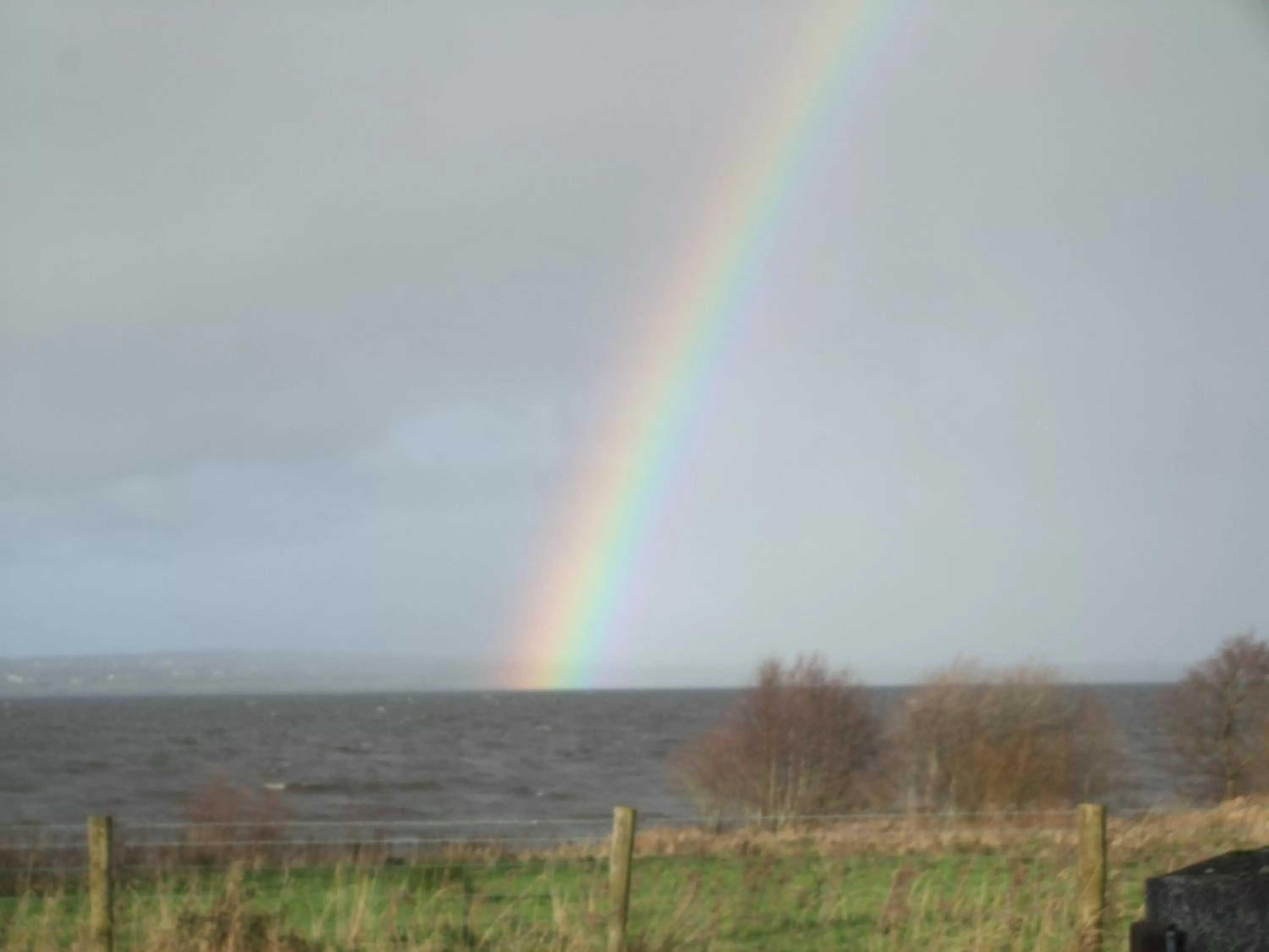 View (from property/room) in Bay Cottage Bed & Breakfast