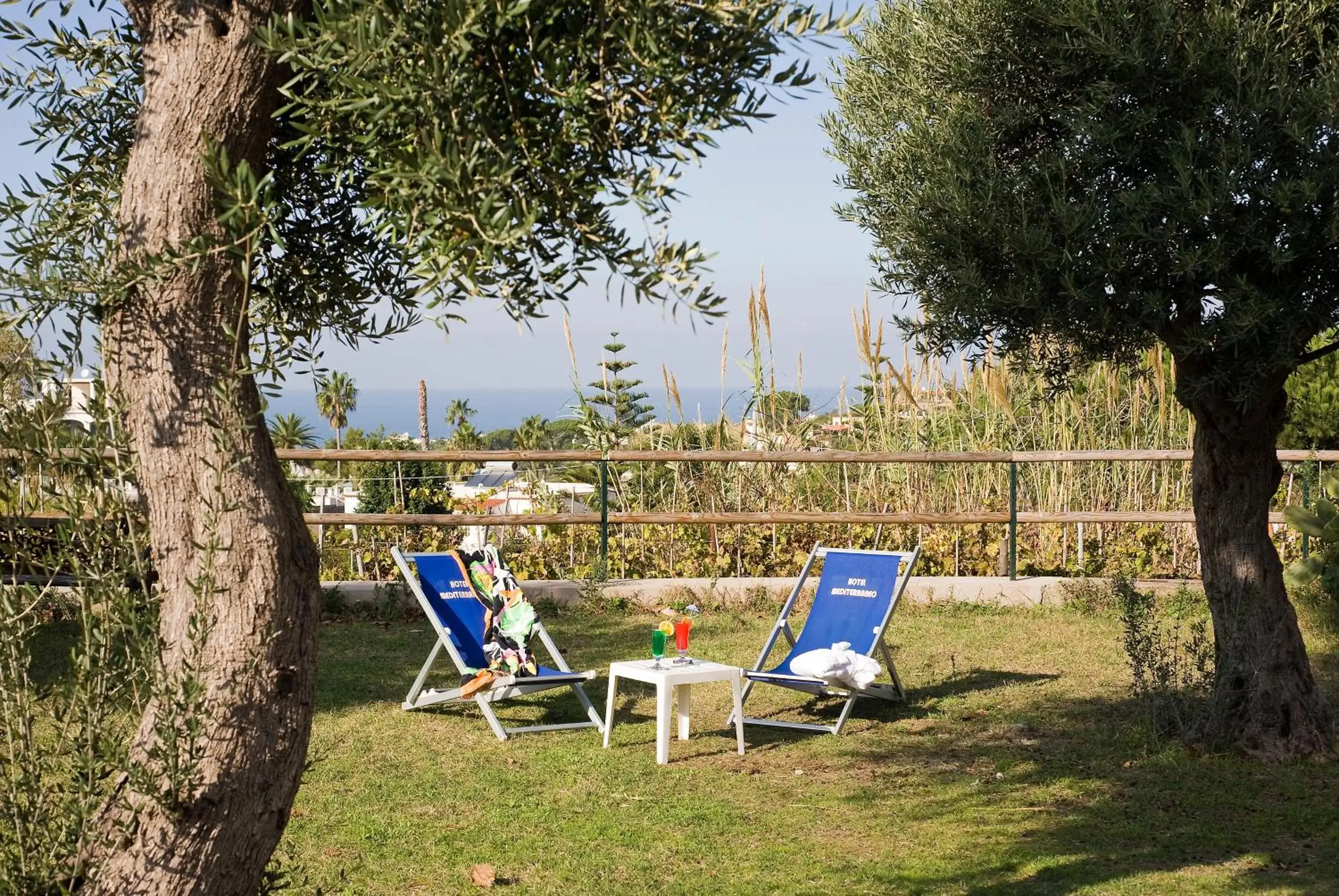 Garden in Park Hotel Terme Mediterraneo