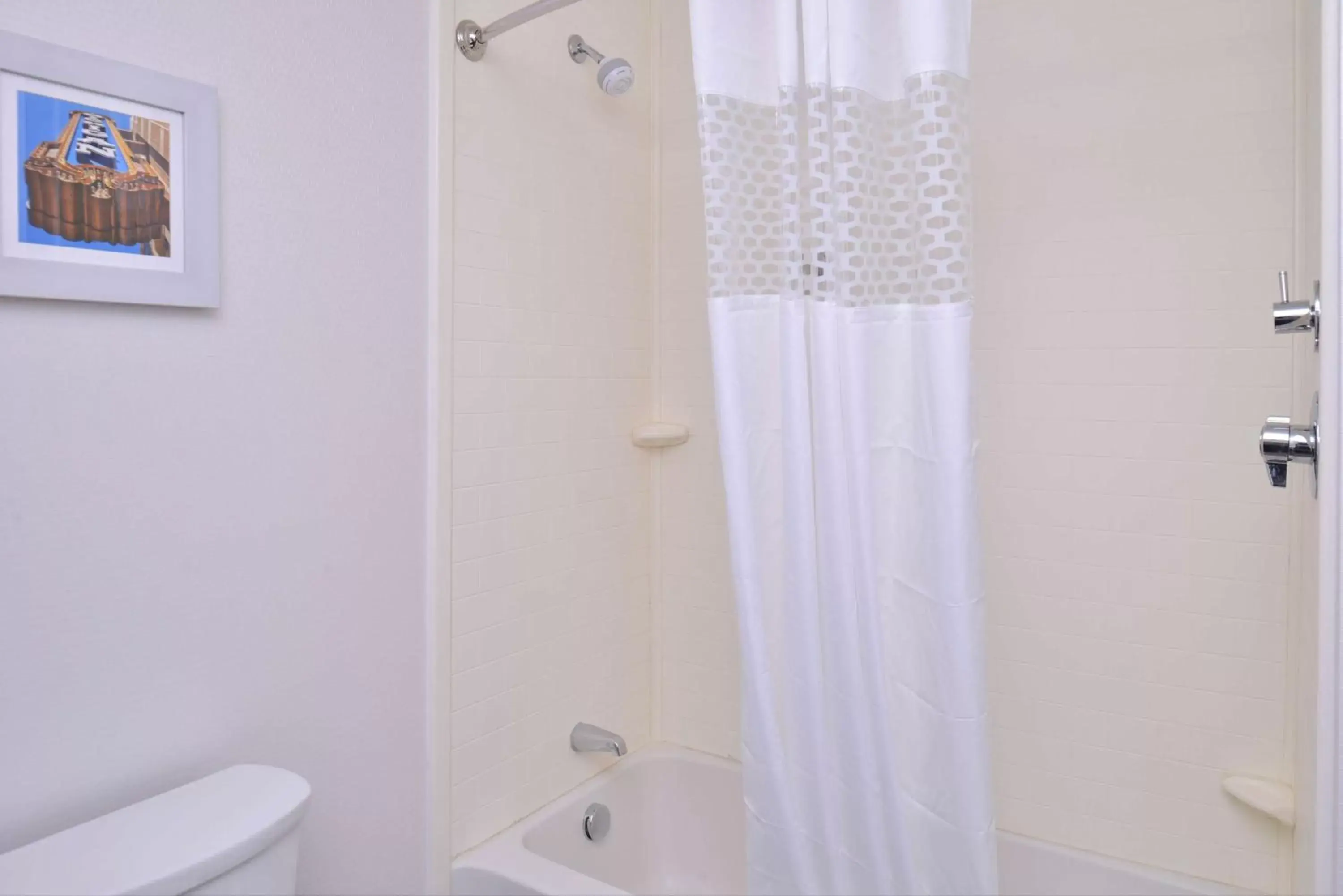 Bathroom in Hampton Inn & Suites Ann Arbor West