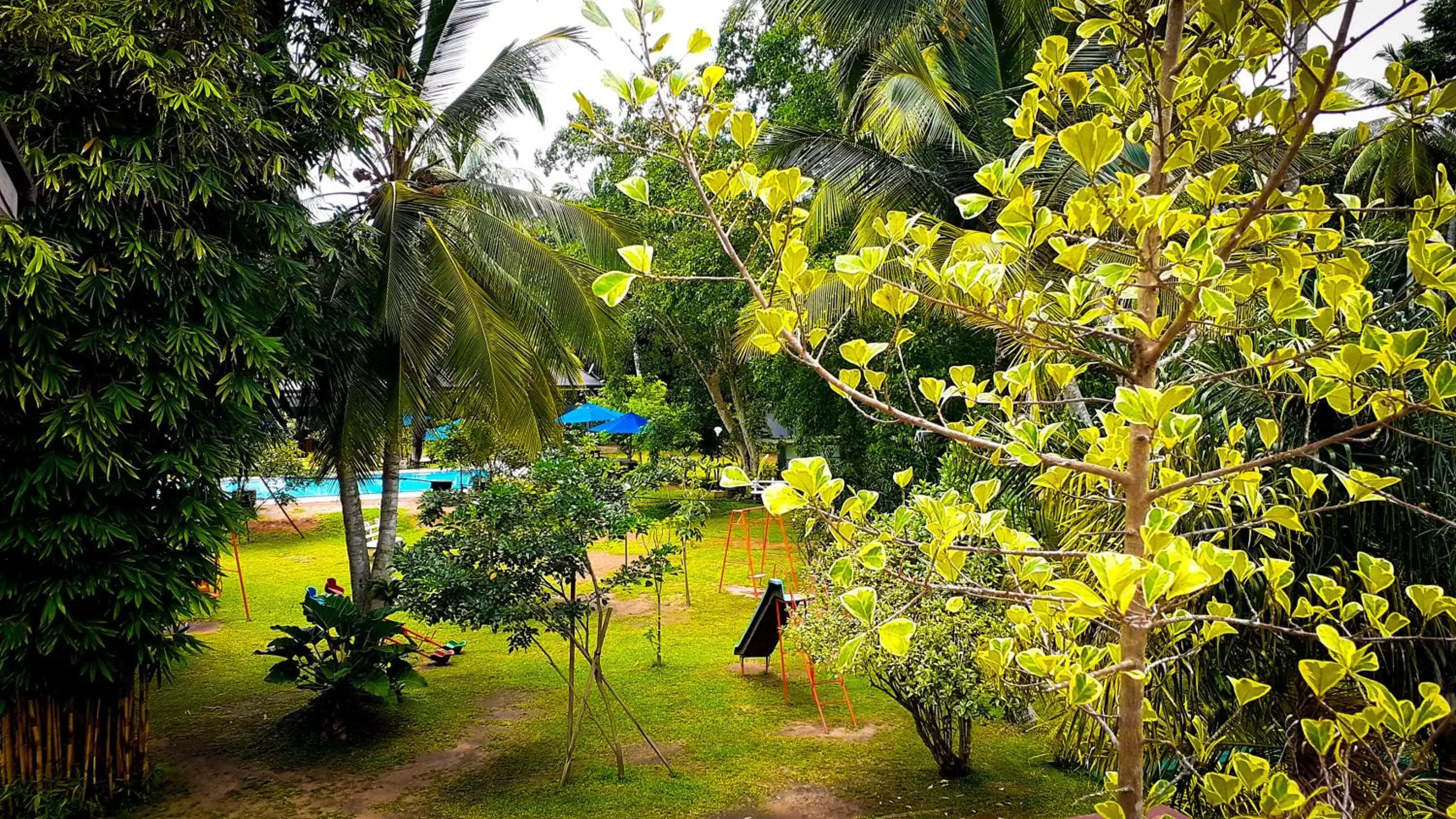 Garden in Oreeka - Katunayake Airport Transit Hotels