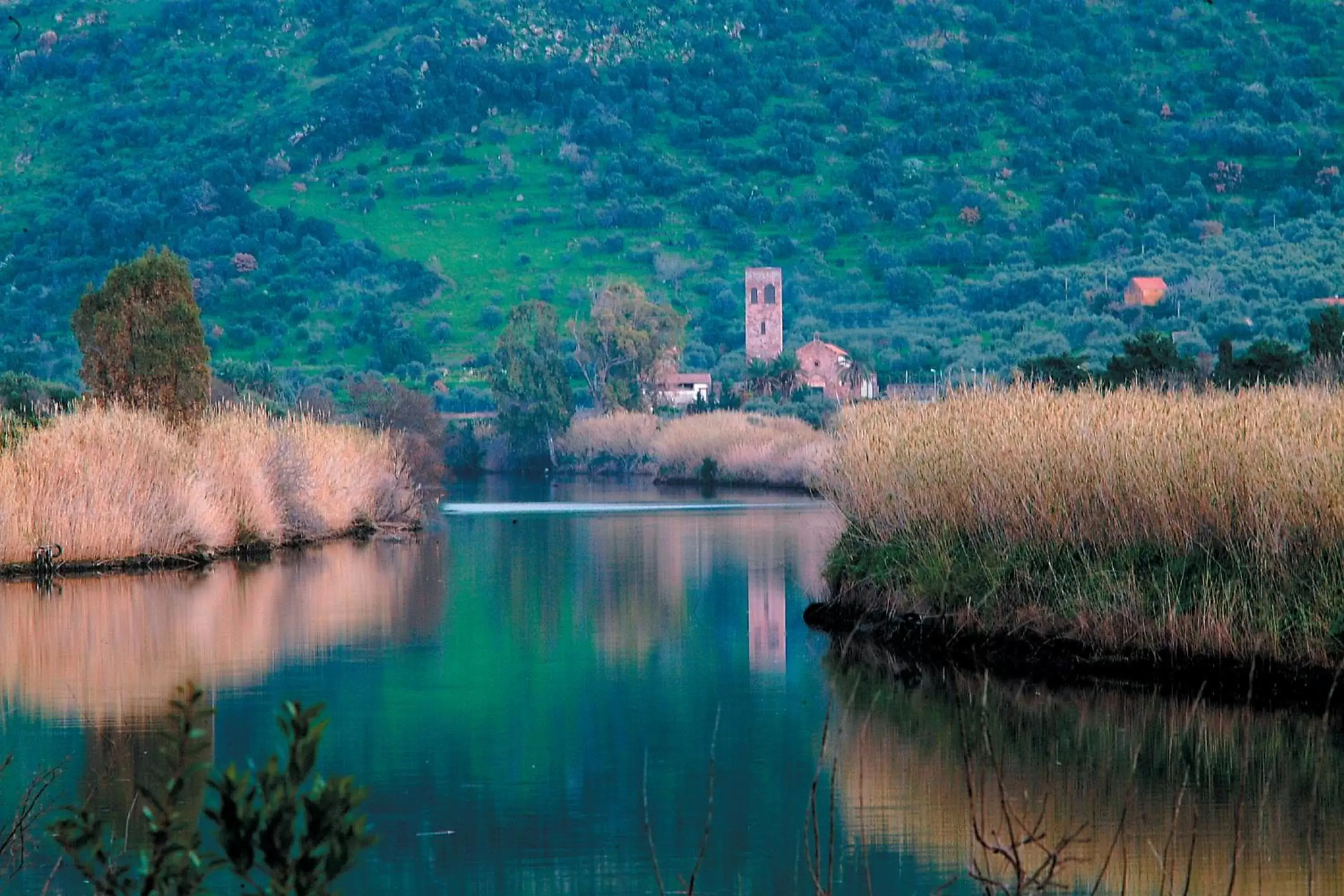 Fishing in Palazzo Pischedda